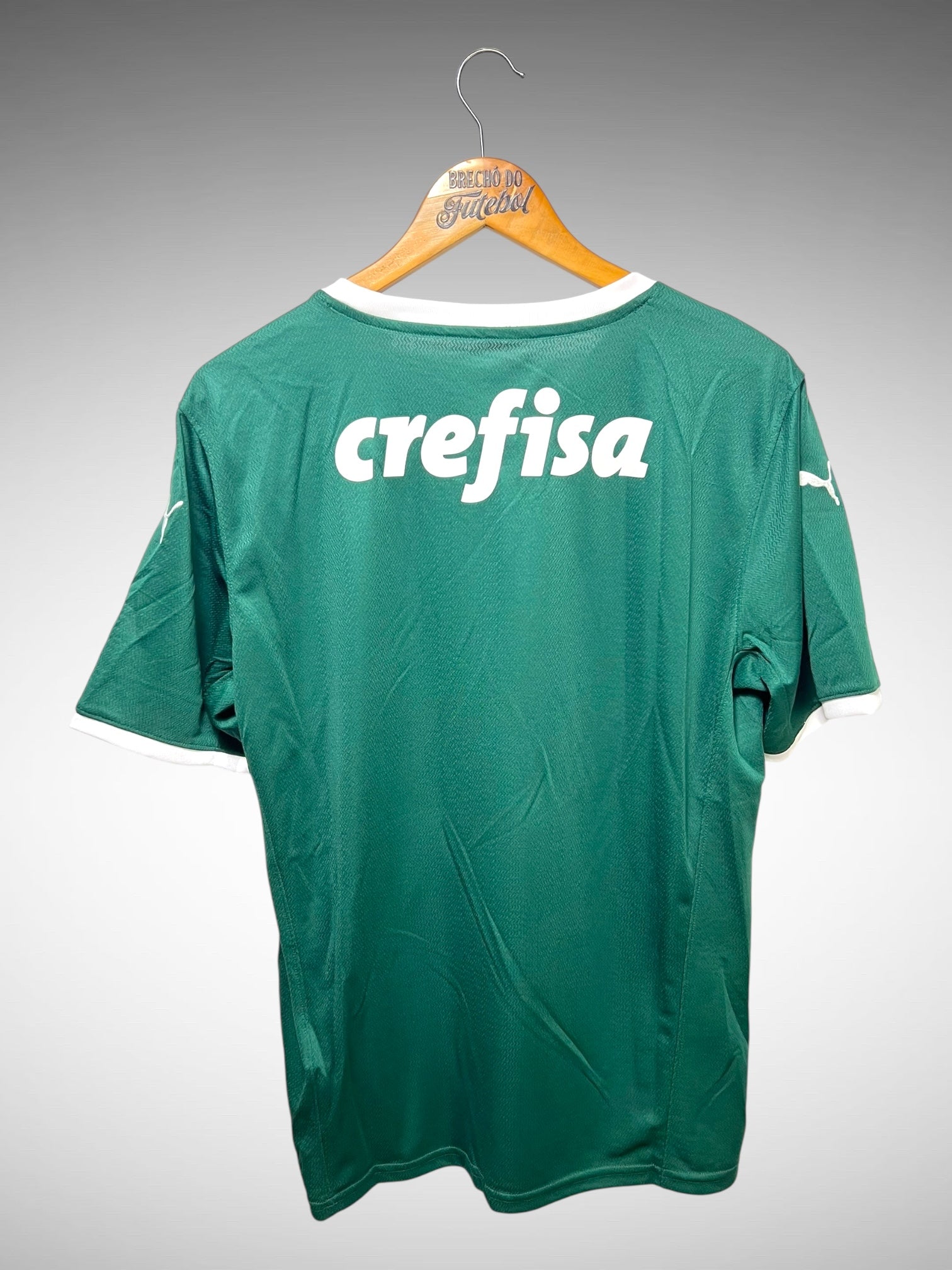 Palmeiras 2022 Primeira Camisa Tam G