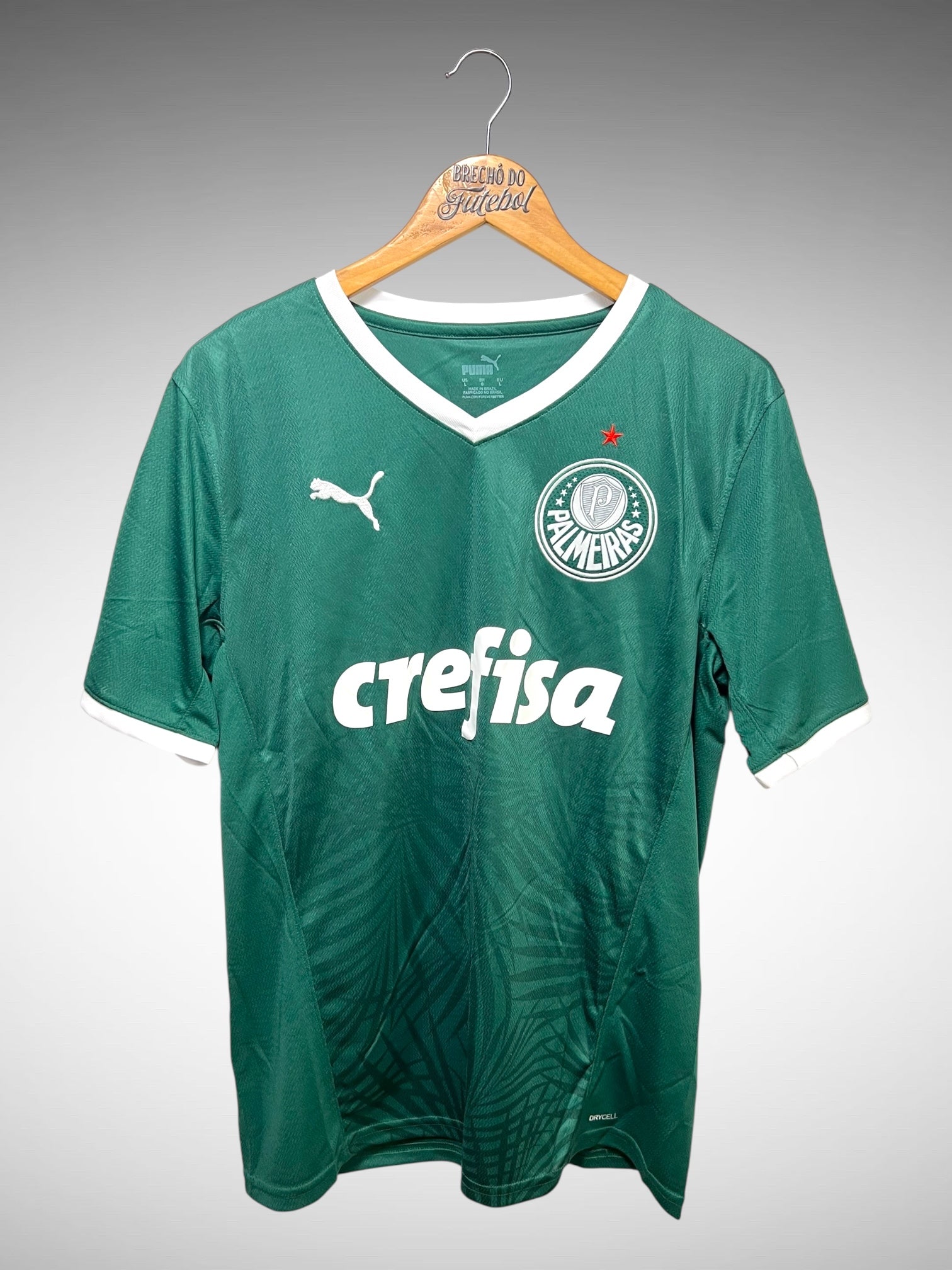 Palmeiras 2022 Primeira Camisa Tam G