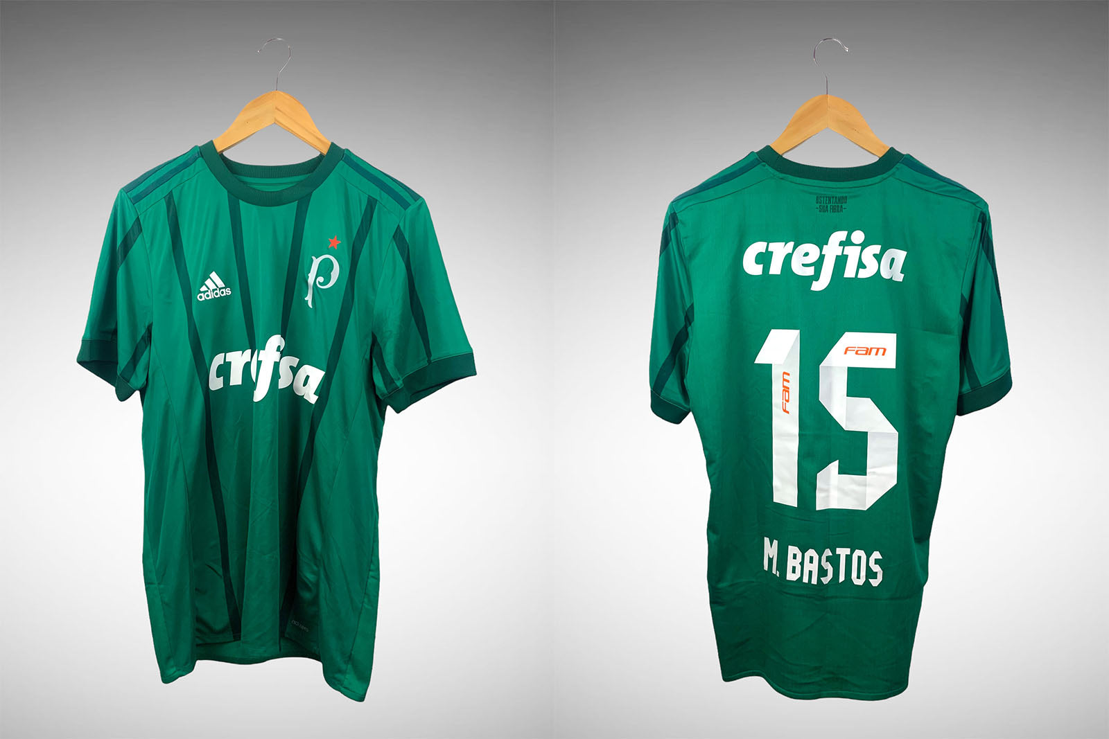 Palmeiras 2017 Primeira Camisa Tam G N# 15 M. Bastos.