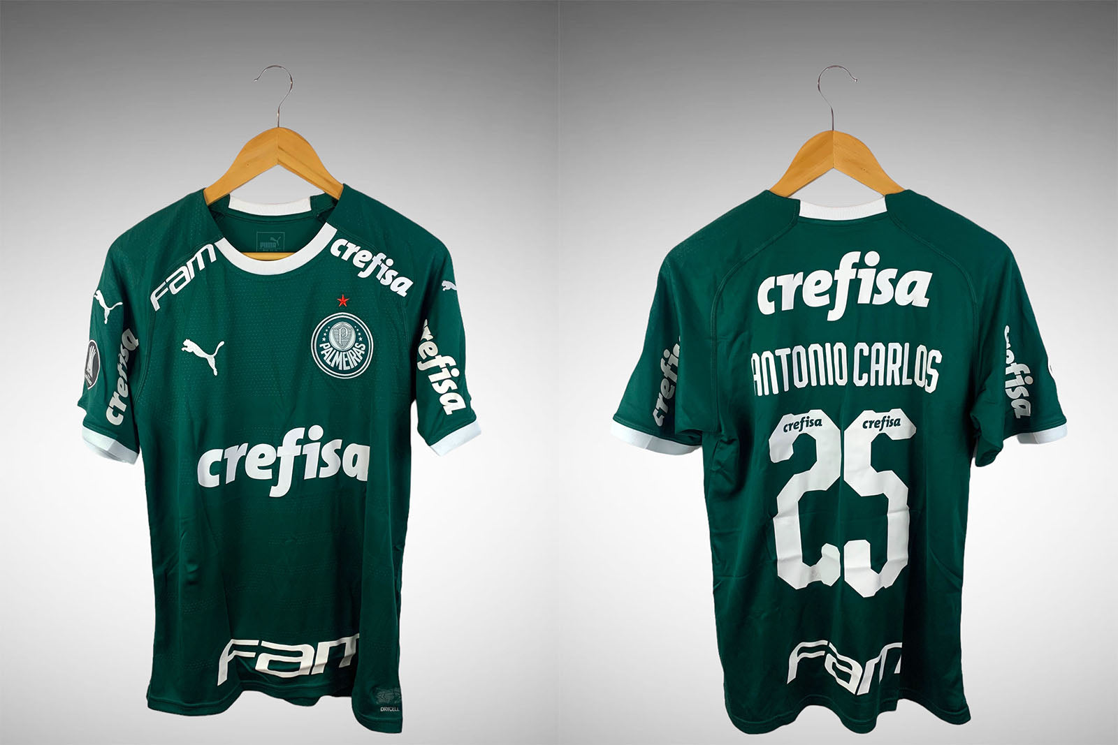Palmeiras 2019 Primeira Camisa Tam M N# 25 Antônio Carlos.