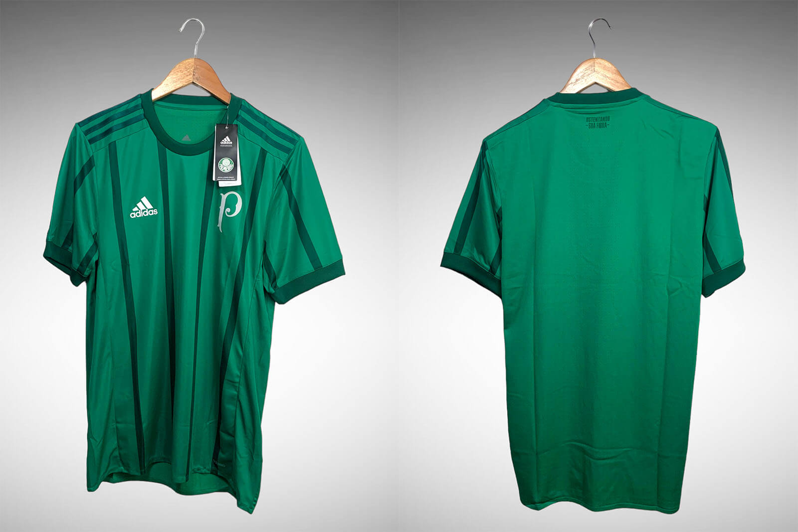 Palmeiras 2017 Primeira Camisa Tam M.