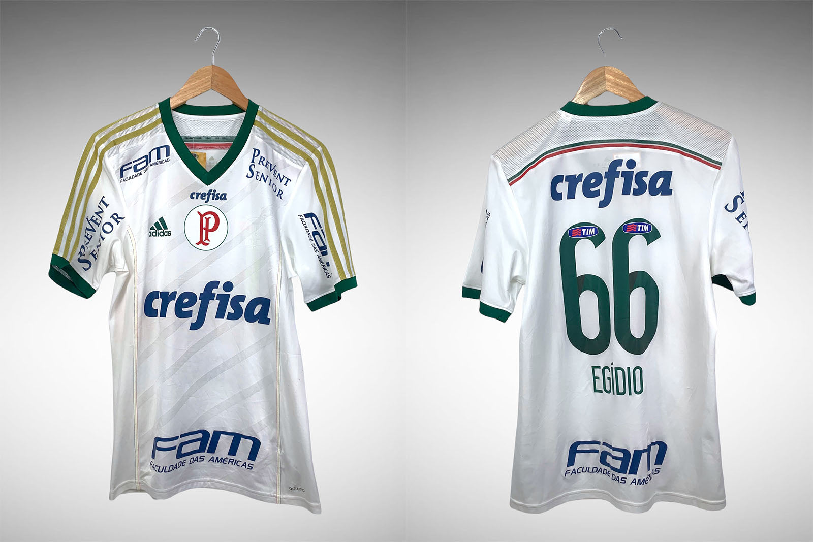 Palmeiras 2014 Segunda Camisa Tam M N# 66 Egídio.