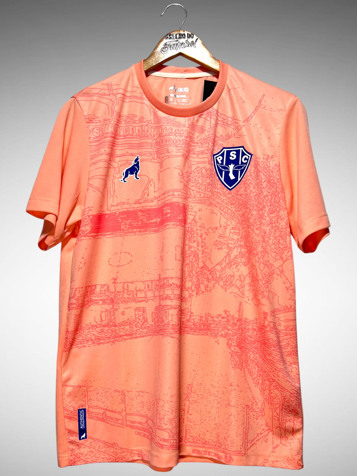 Paysandu 2022 Camisa de Treino Tam G.