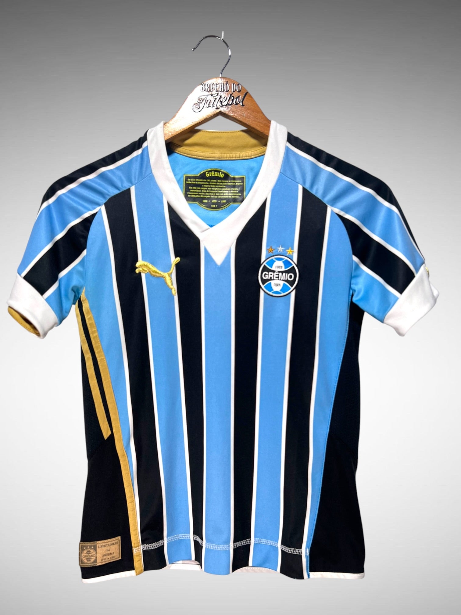 Grêmio 2009 Primeira Camisa Tam P Feminino.