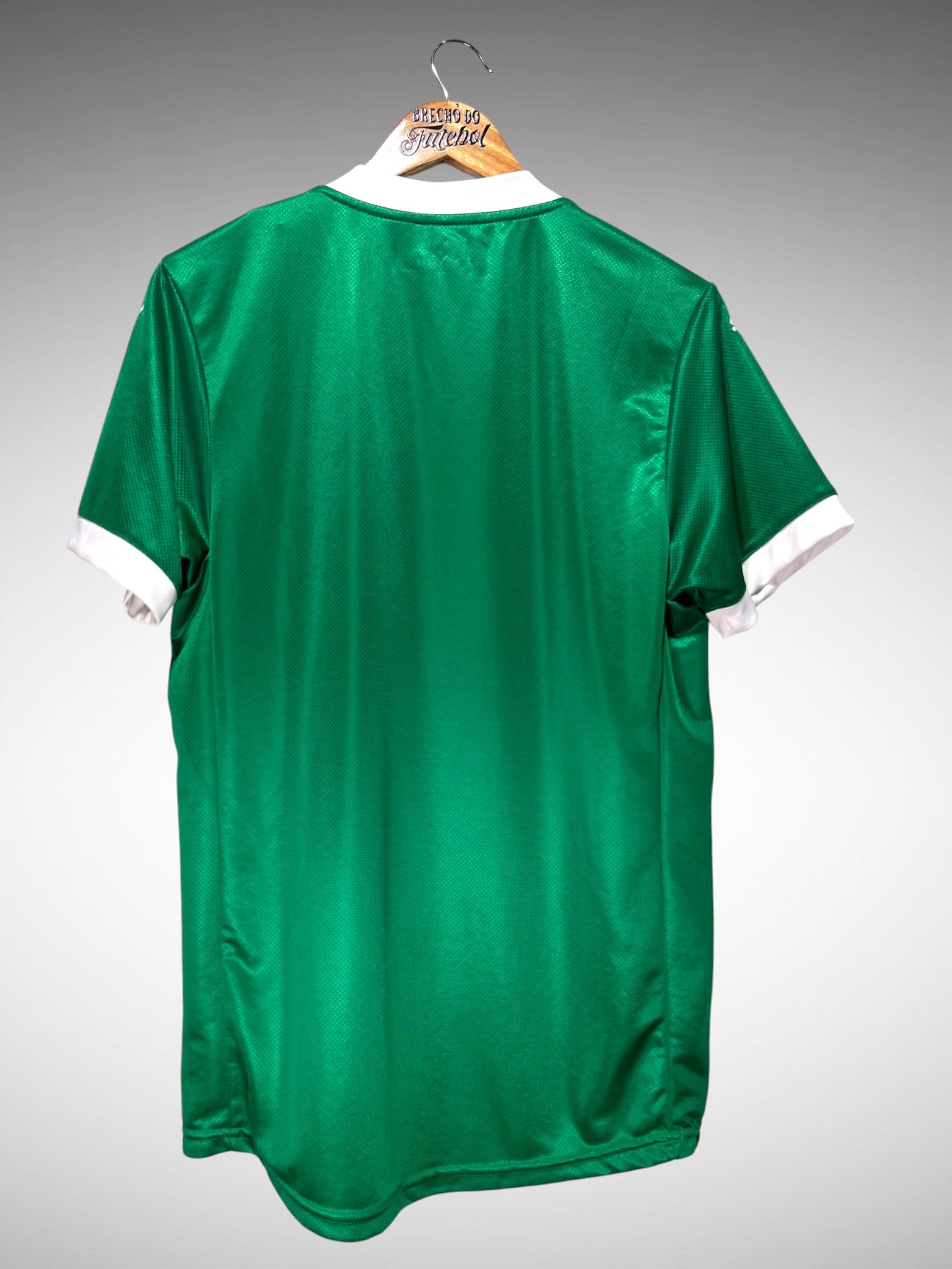 Palmeiras 2025 Primeira Camisa Tam M.