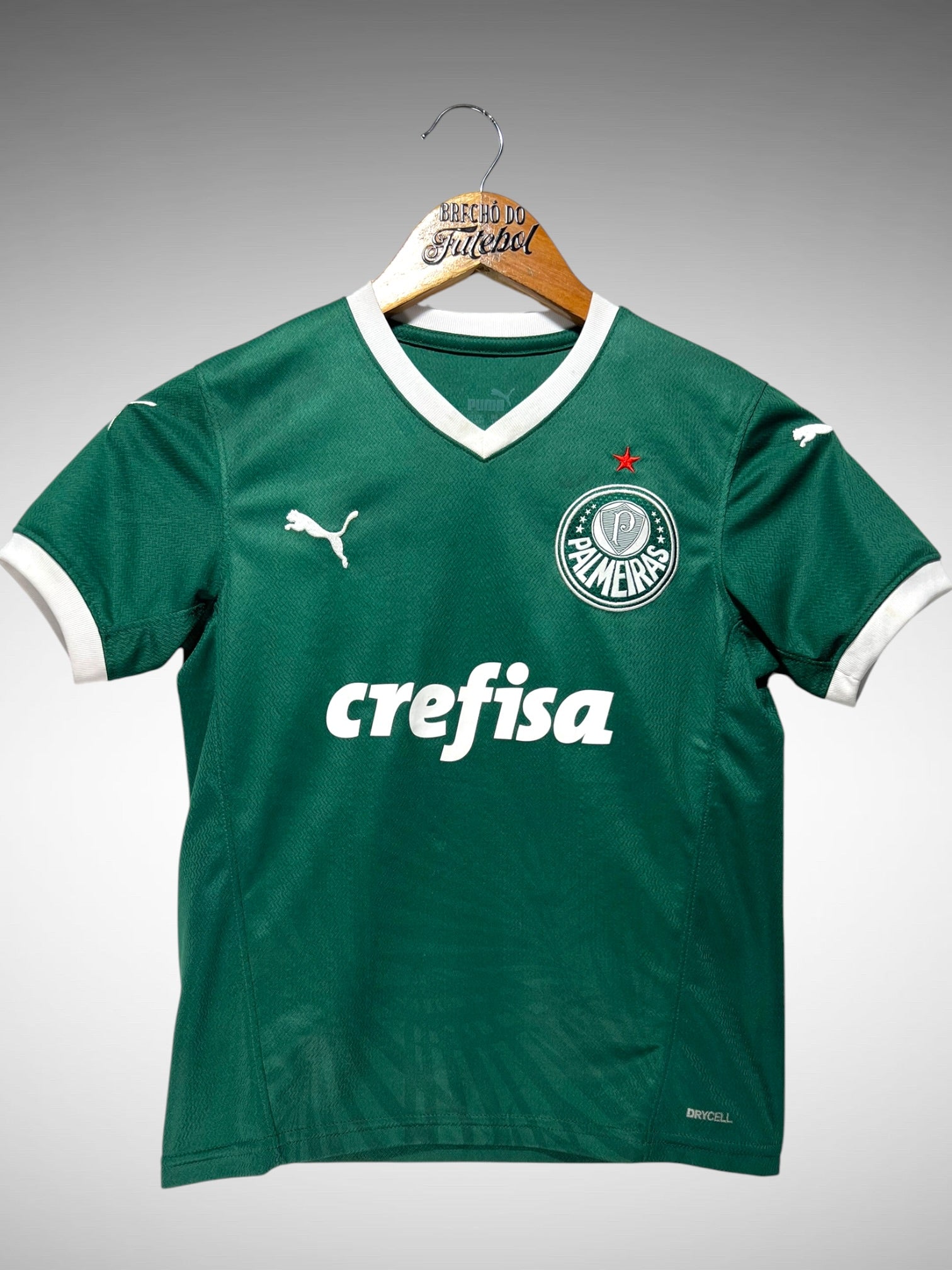 Palmeiras 2022 Primeira Camisa Tam 10 anos Infantil.