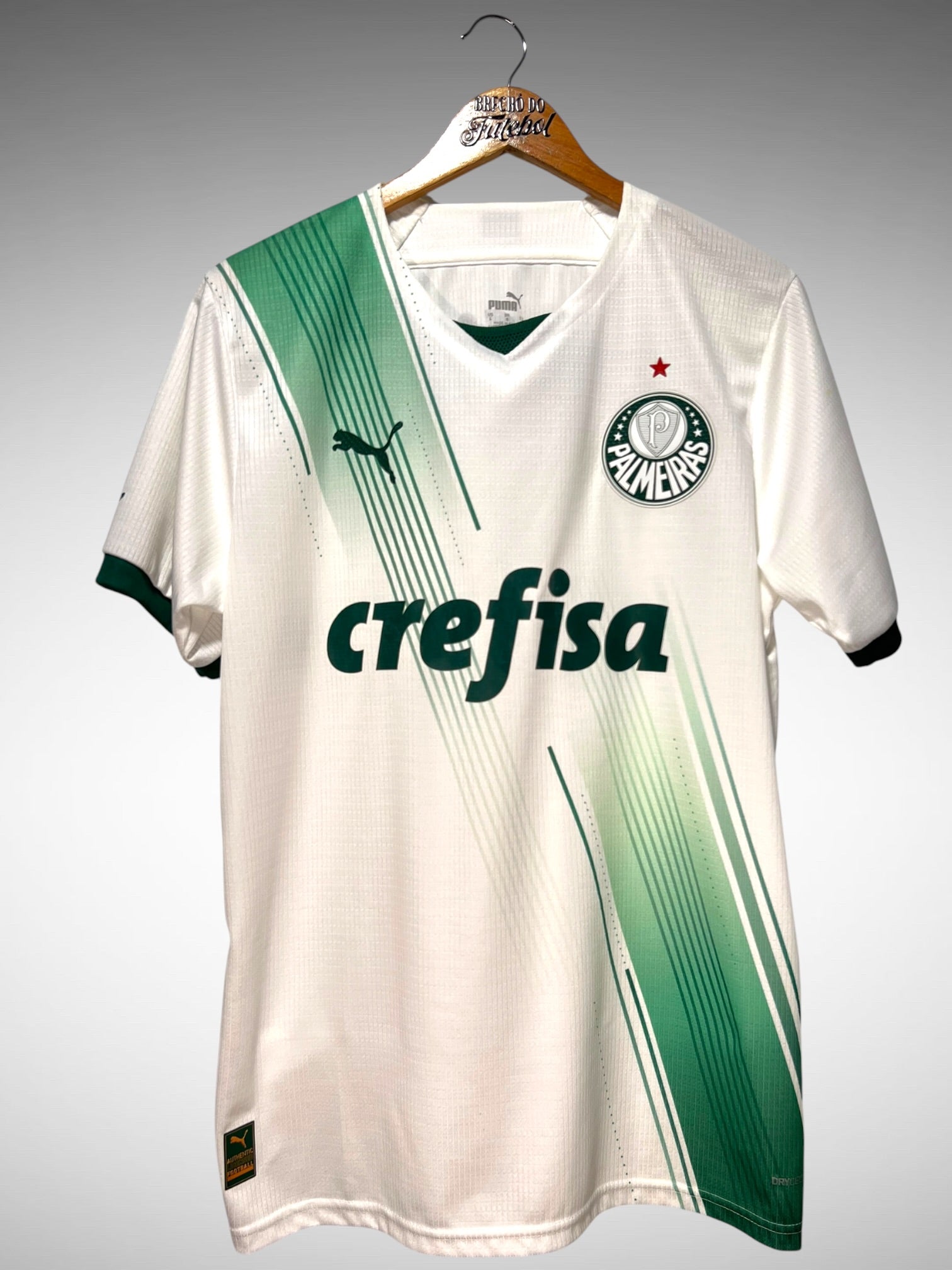 Palmeiras 2023 Segunda Camisa Tam G.