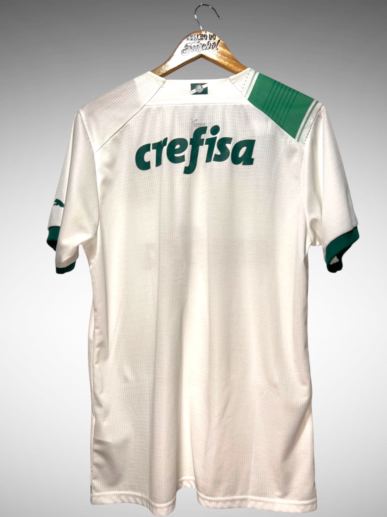 Palmeiras 2023 Segunda Camisa Tam G.