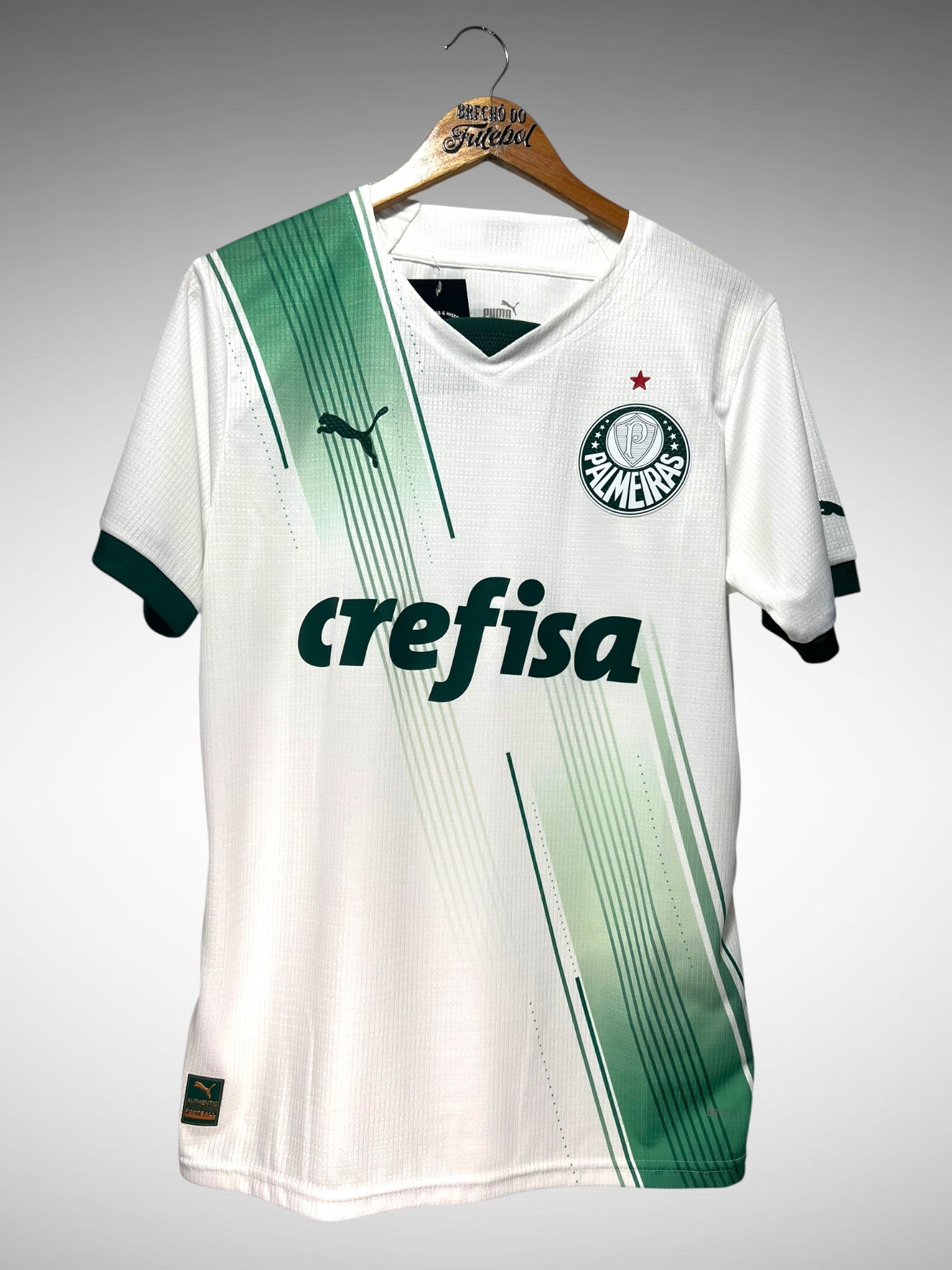 Palmeiras 2023 Segunda Camisa Tam M.