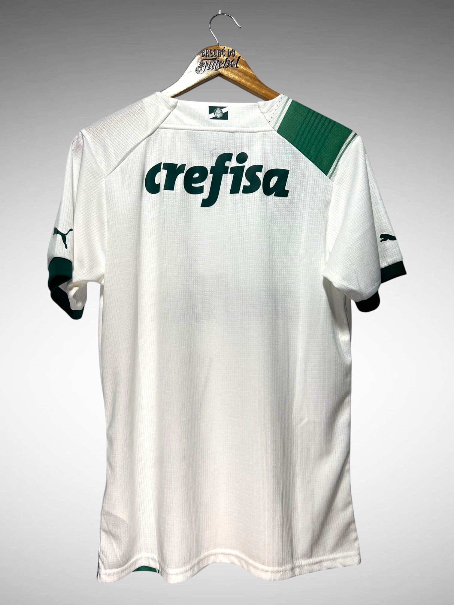 Palmeiras 2023 Segunda Camisa Tam M.