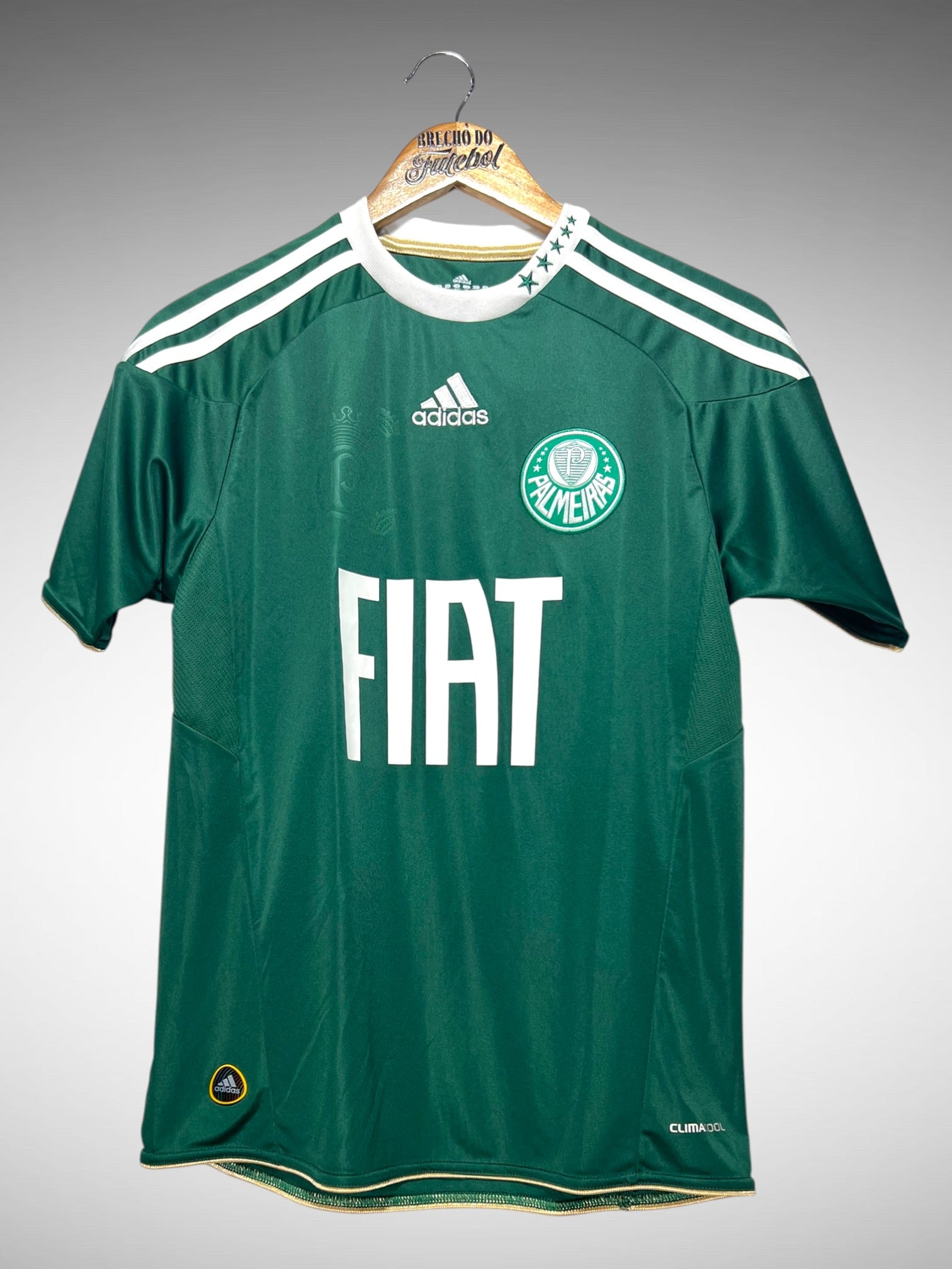 Palmeiras 2010 Primeira Camisa Tam 14 anos Infantil N 10.