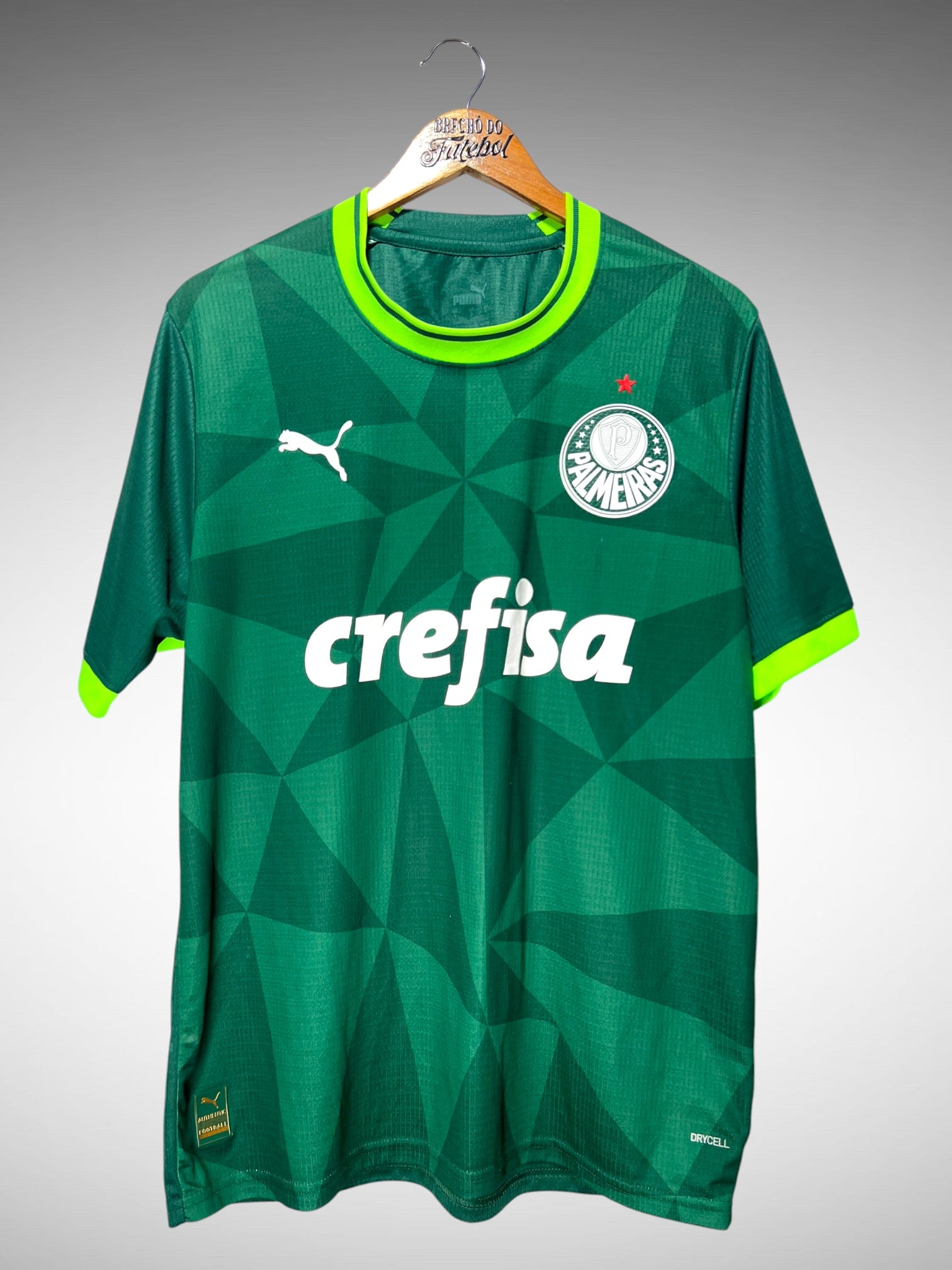 Palmeiras 2023 Primeira Camisa Tam G.