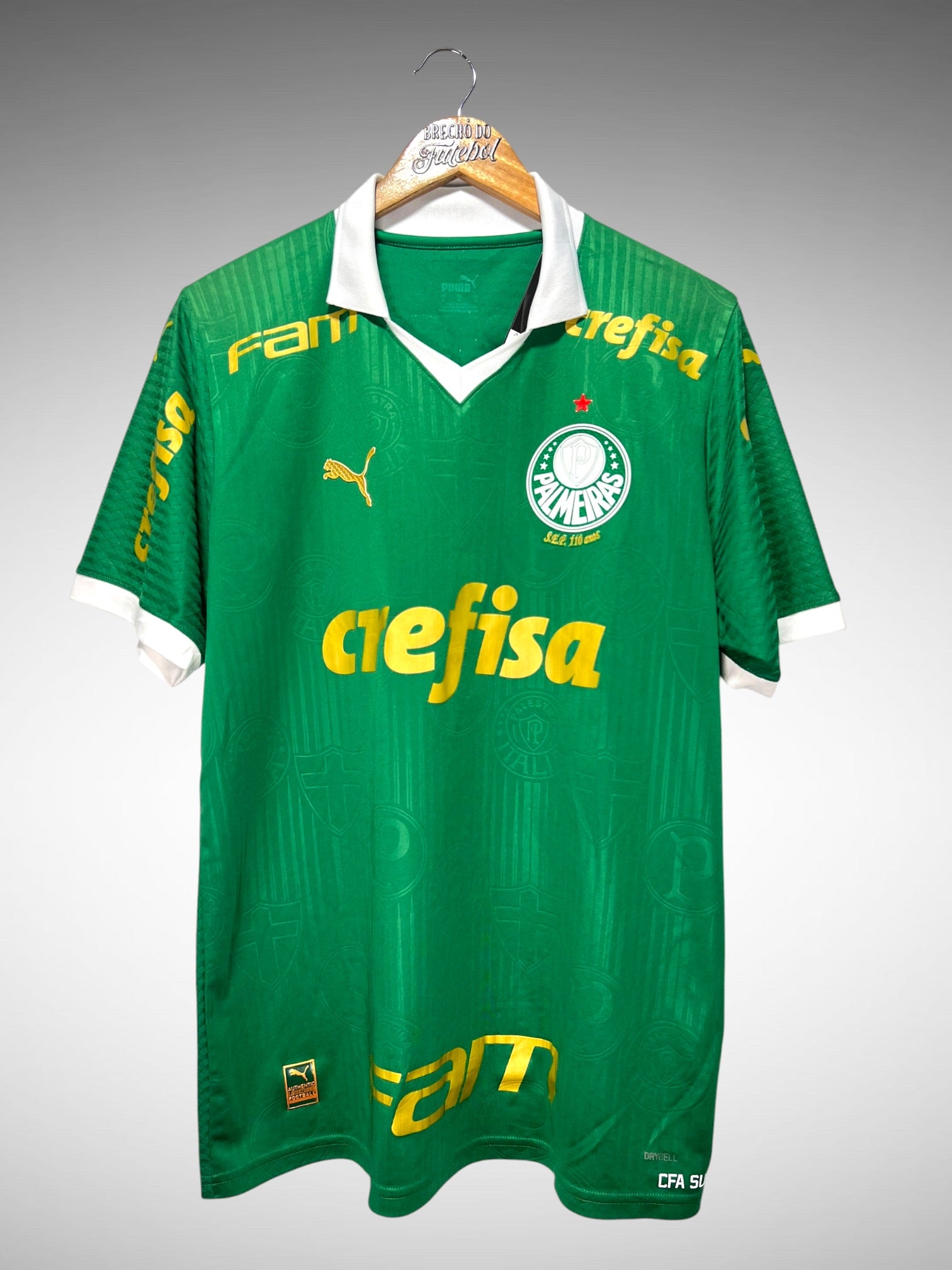 Palmeiras 2023 Primeira Camisa Tam G N 11.