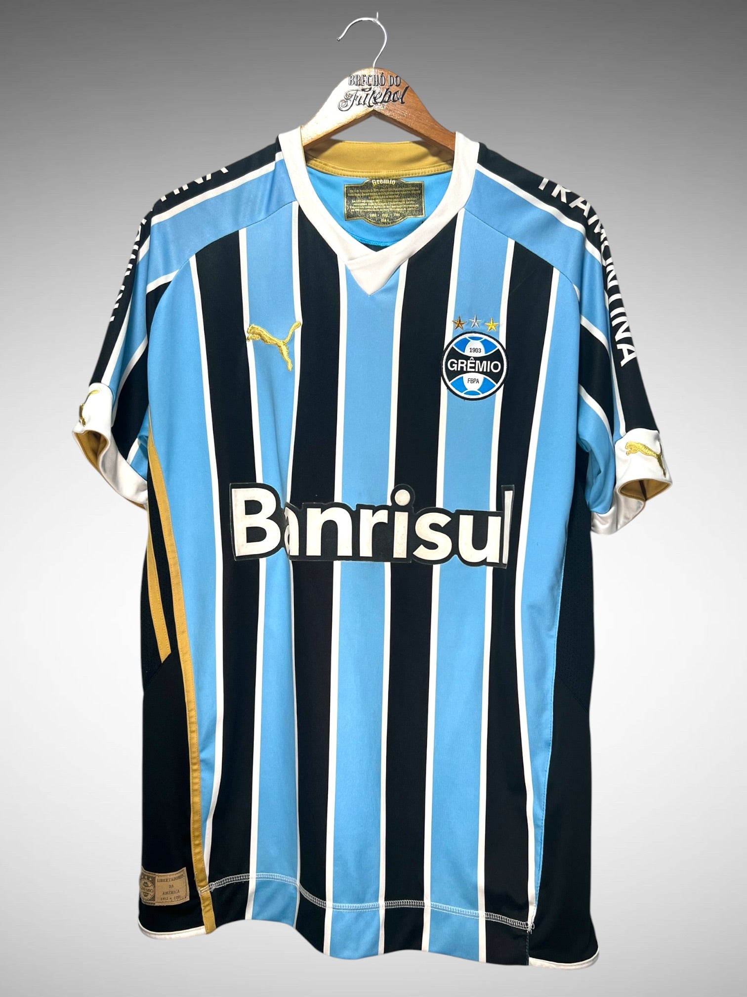 Grêmio 2009 Primeira Camisa Tam G N 10.