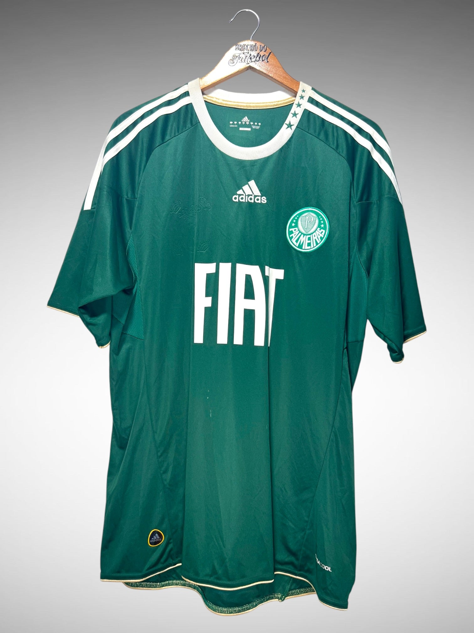 Palmeiras 2010 Primeira Camisa Tam G N 20 Tadeu.