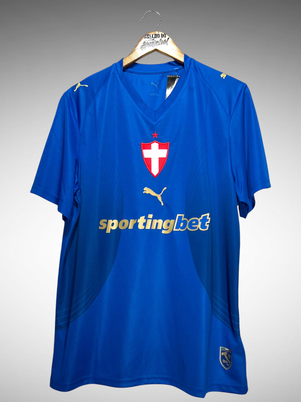Palmeiras 2026 Terceira Camisa Tam G.