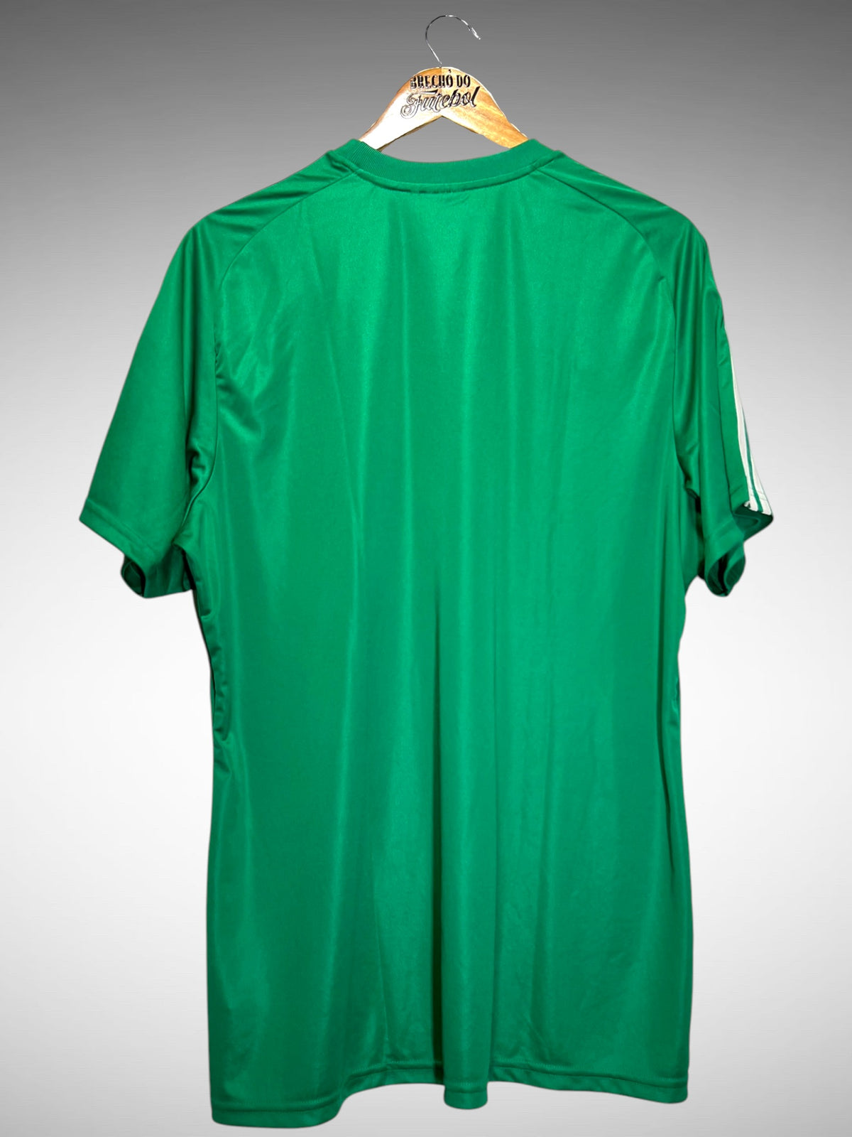 Palmeiras 2016 Primeira Camisa Modelo Fan Tam GG.