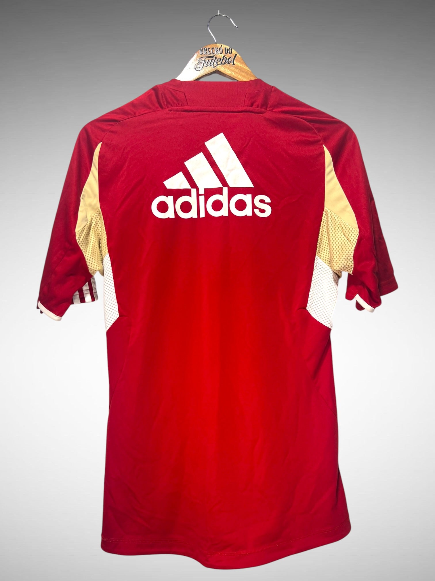 Bayern de Munique 2011 Camisa de Treino Tam P.