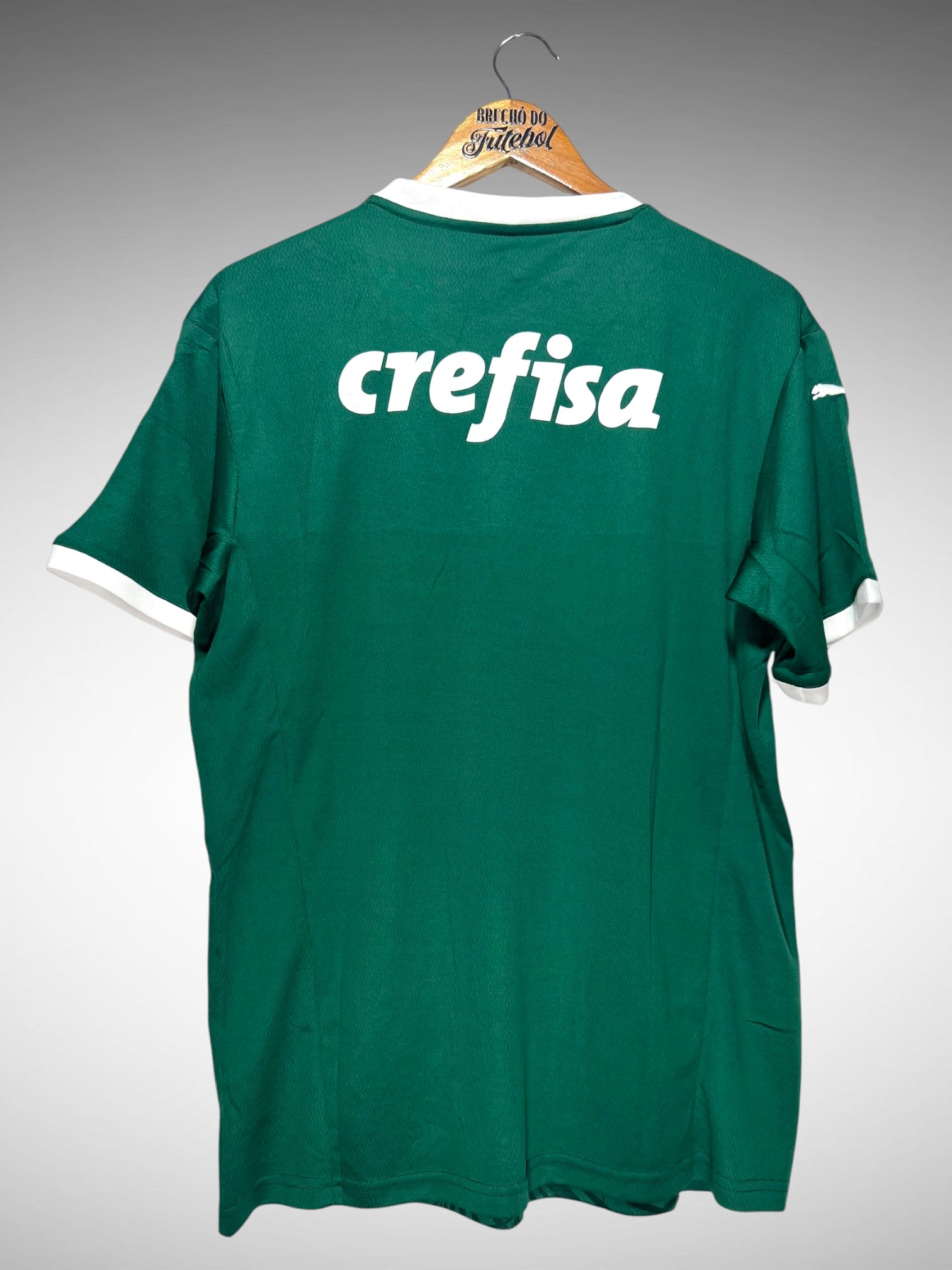 Palmeiras 2022 Primeira Camisa Tam M.