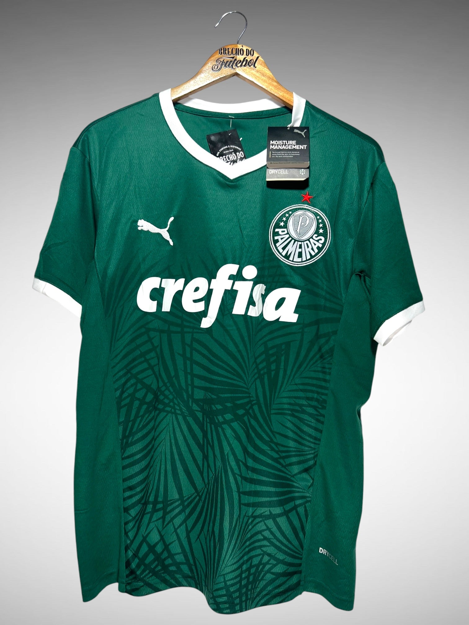 Palmeiras 2022 Primeira Camisa Tam M.