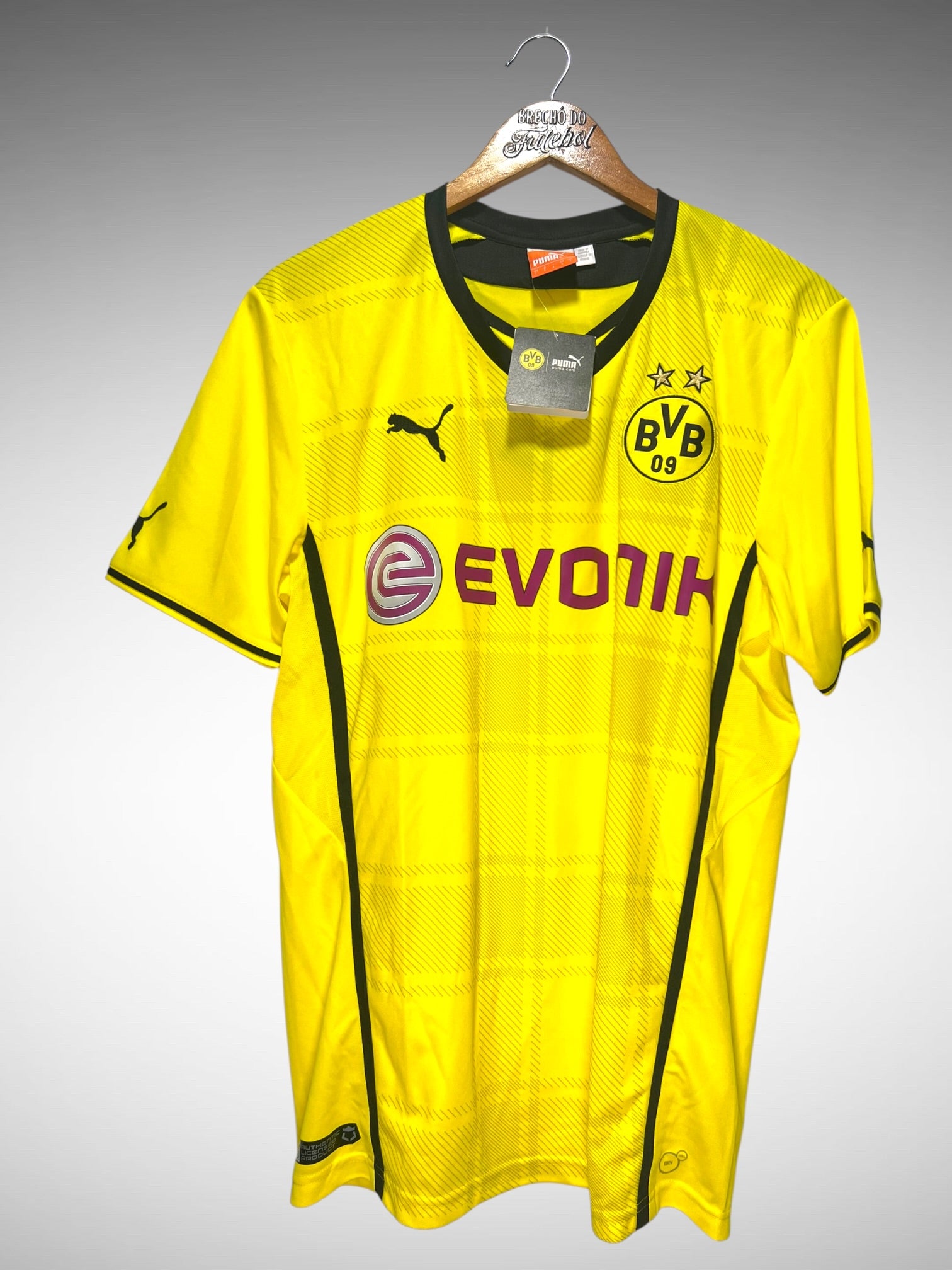 Borussia Dortmund 2013 Primeira Camisa Tam G.