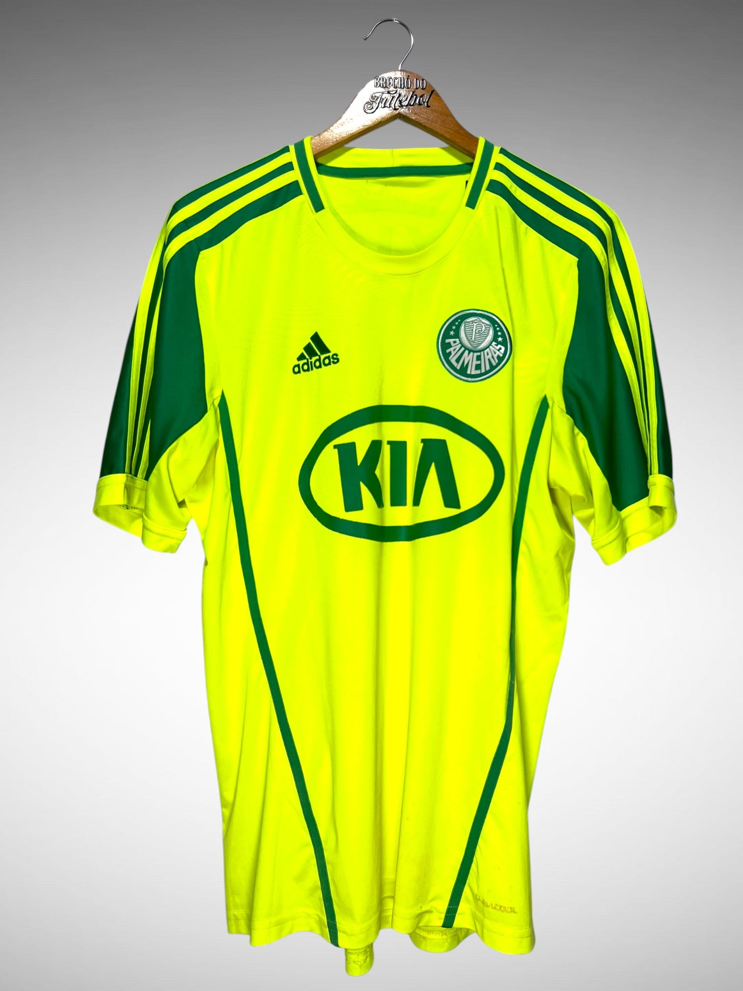 Palmeiras 2012 Segunda Camisa Tam G N 10 Valdívia.