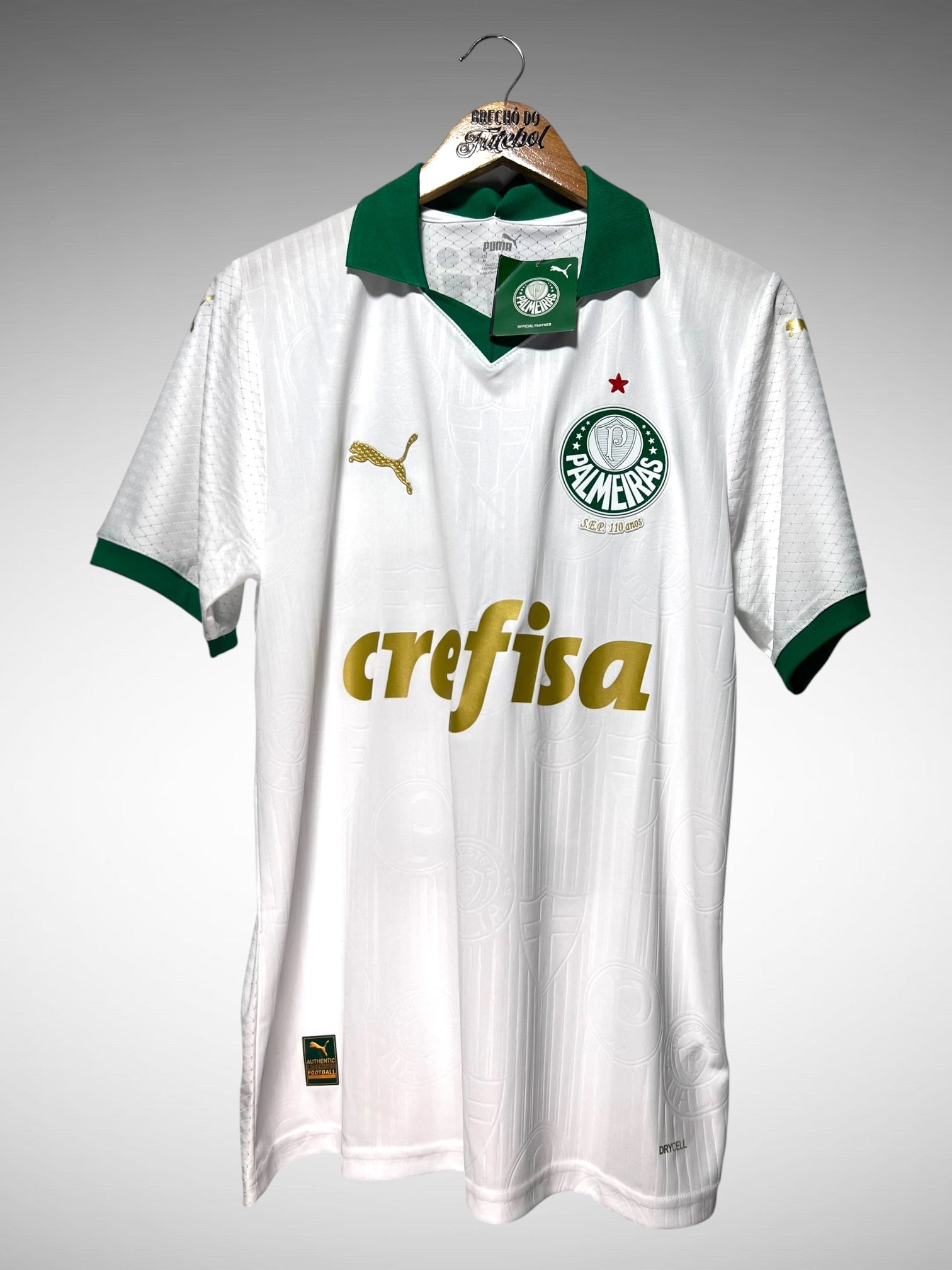 Palmeiras 2024 Segunda Camisa Tam M N 23 R. Veiga.