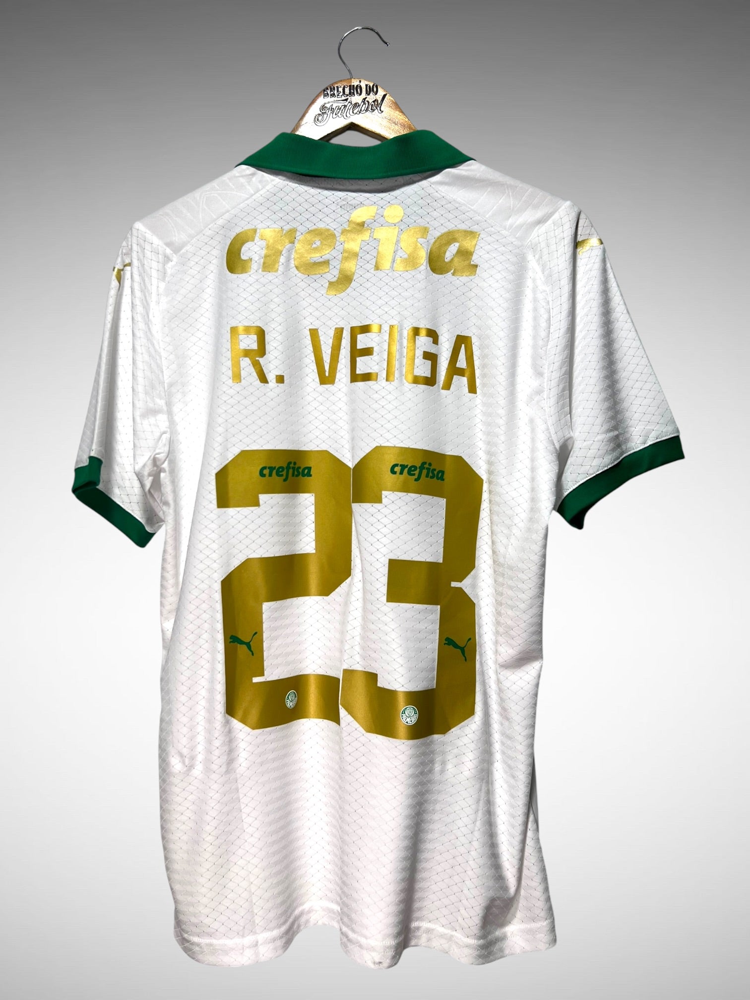 Palmeiras 2024 Segunda Camisa Tam M N 23 R. Veiga.