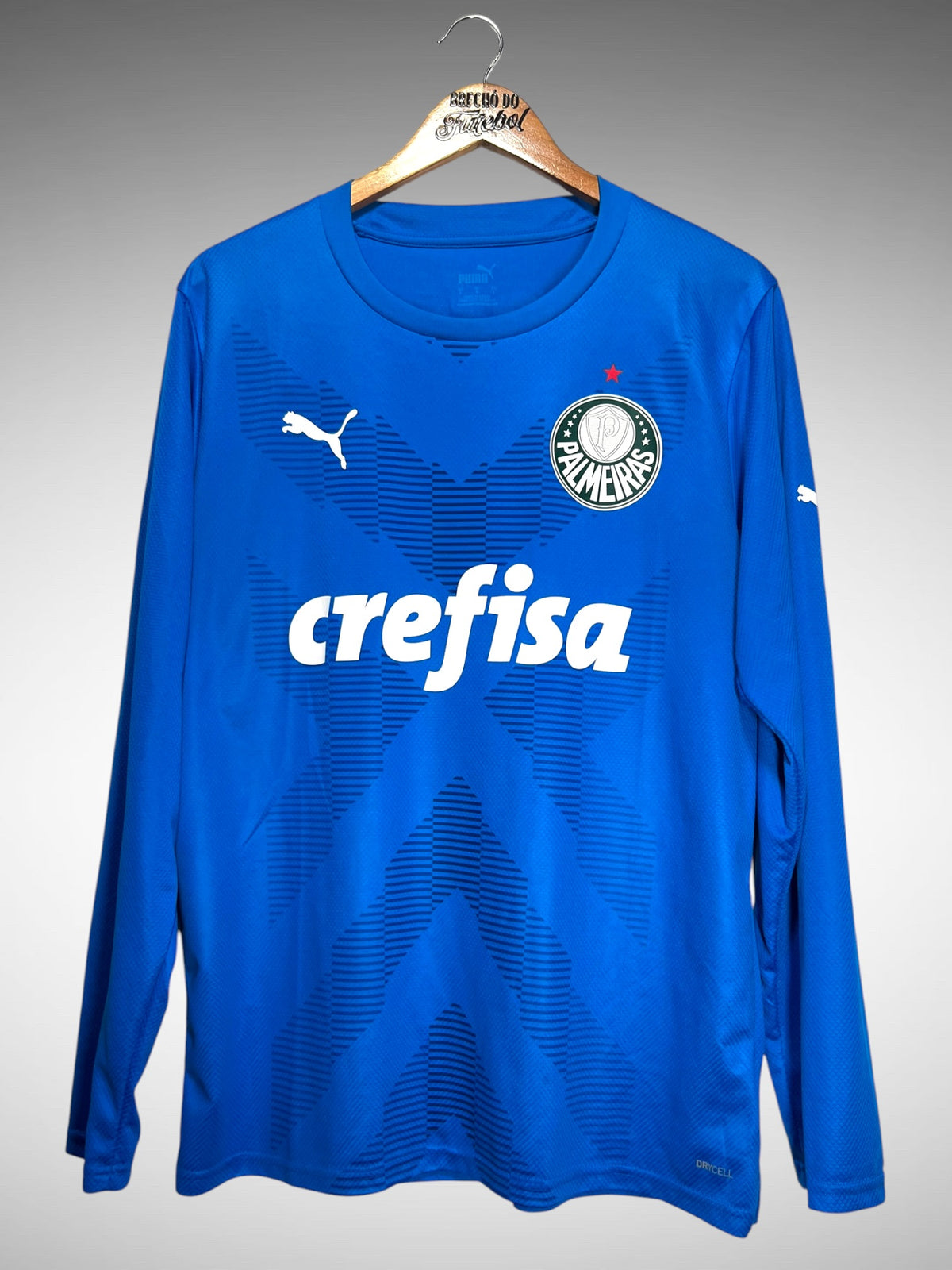 Palmeiras 2023 Camisa de Goleiro Tam G Mangas Longas.