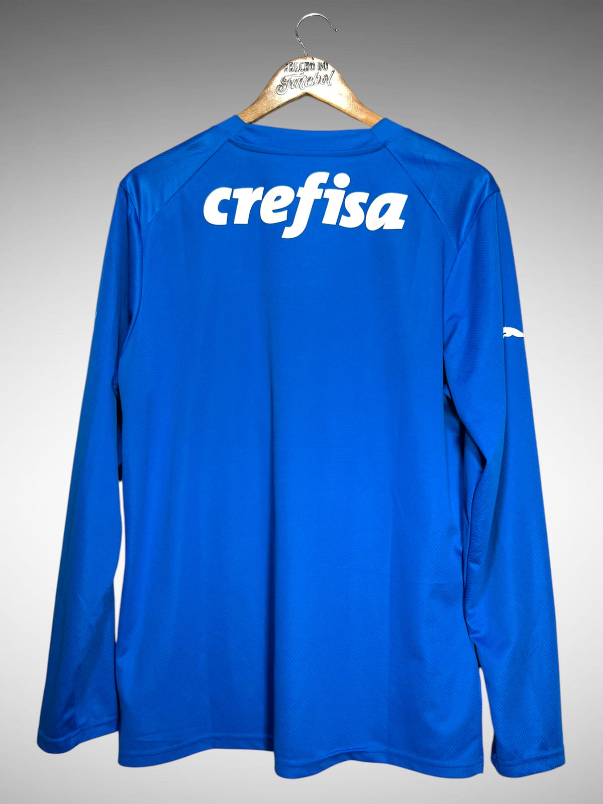 Palmeiras 2023 Camisa de Goleiro Tam G Mangas Longas.