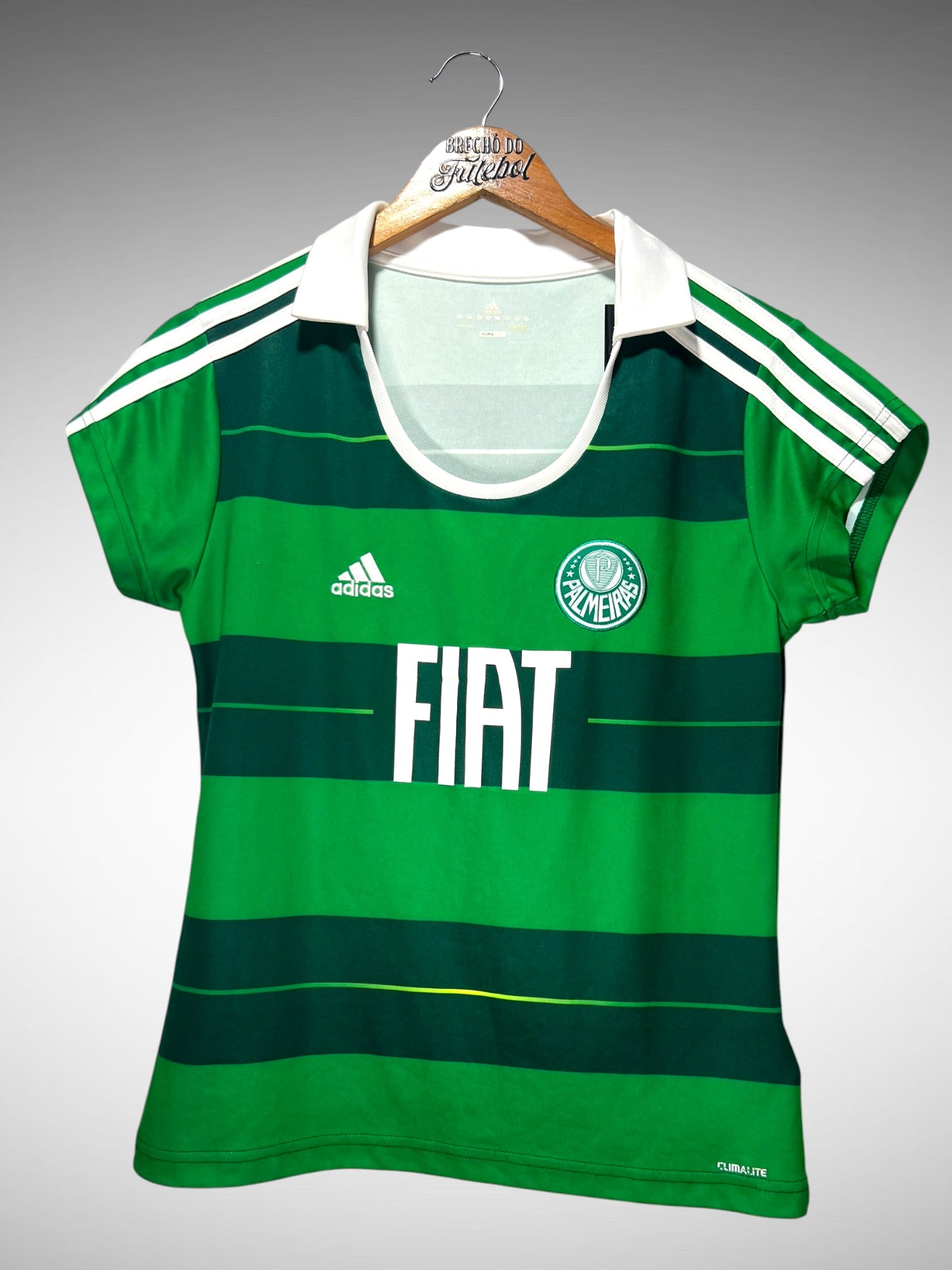 Palmeiras 2010 Terceira Camisa Tam G Feminino.