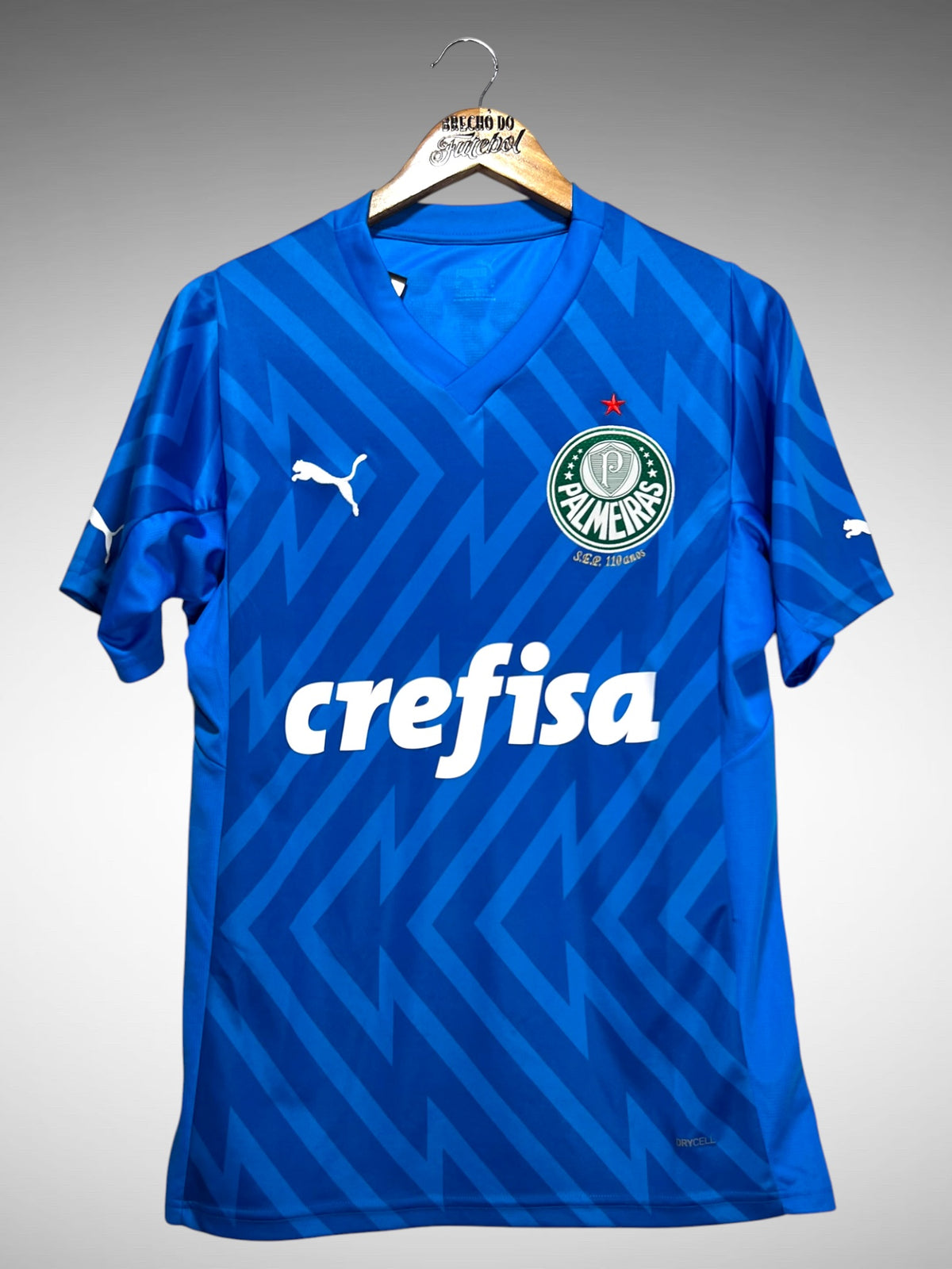 Palmeiras 2024 Camisa de Goleiro Tam M.