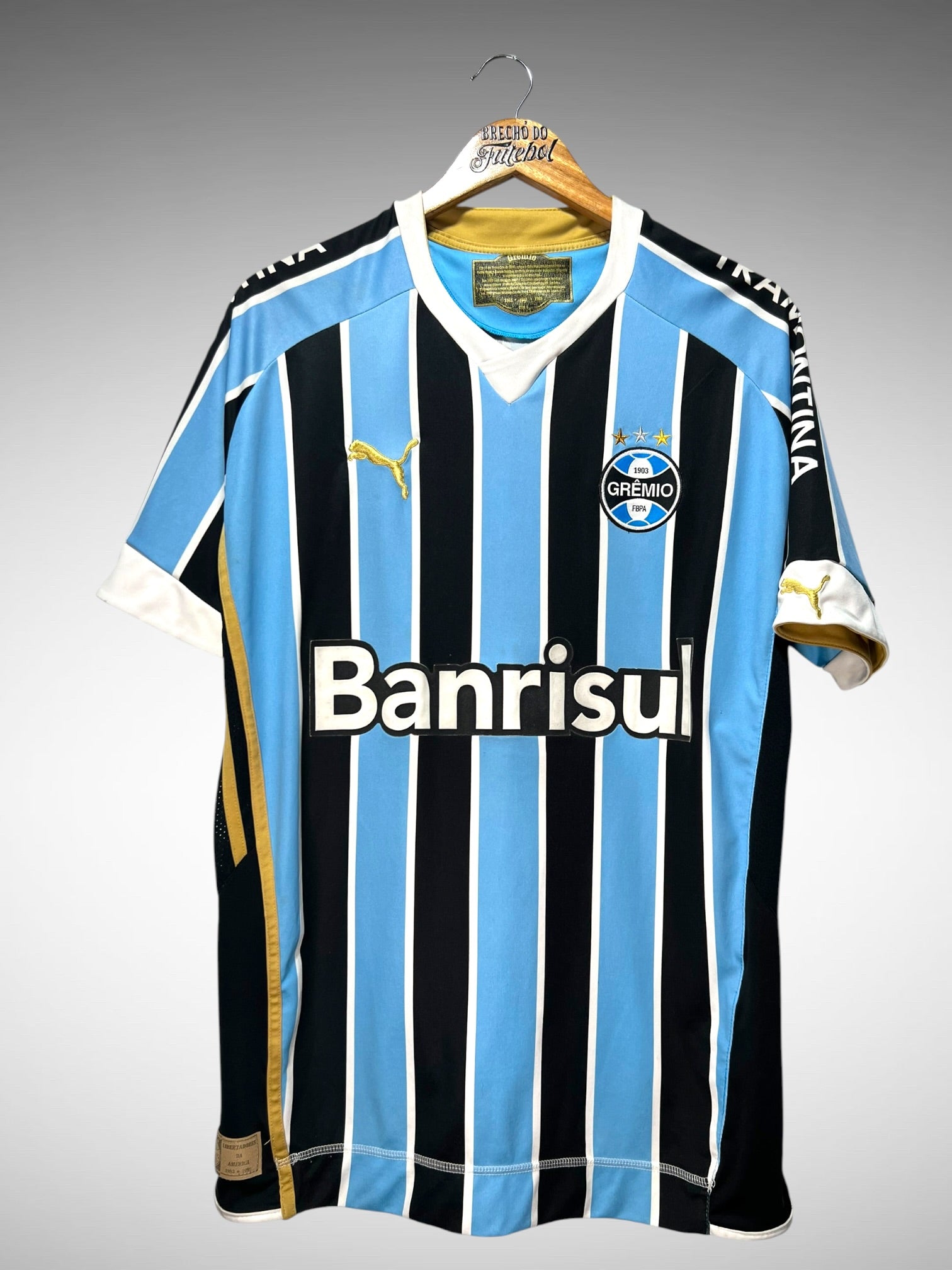 Grêmio 2009 Primeira Camisa Tam G N 10.