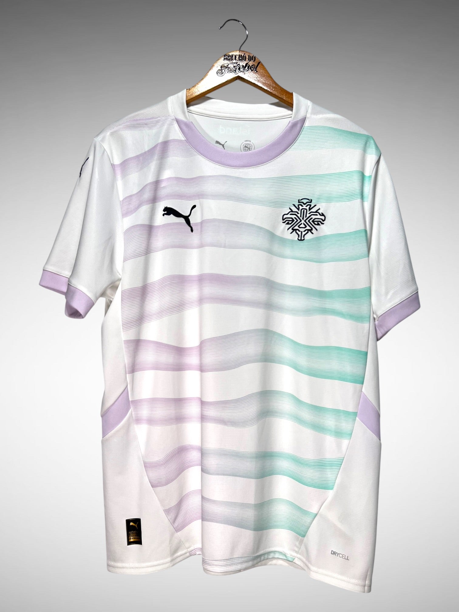Islândia Feminina 2025 Segunda Camisa Tam G.