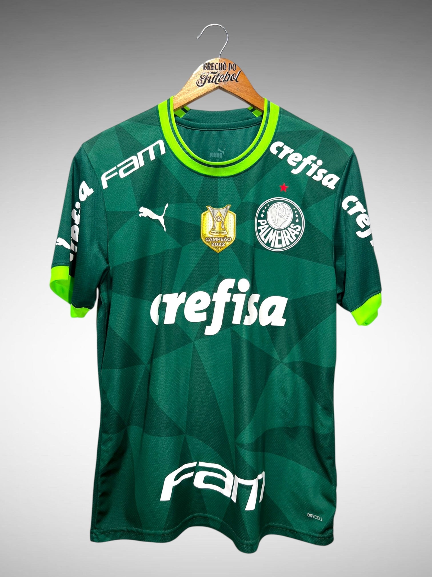 Palmeiras 2023 Primeira Camisa Tam M N 9 Endrick.