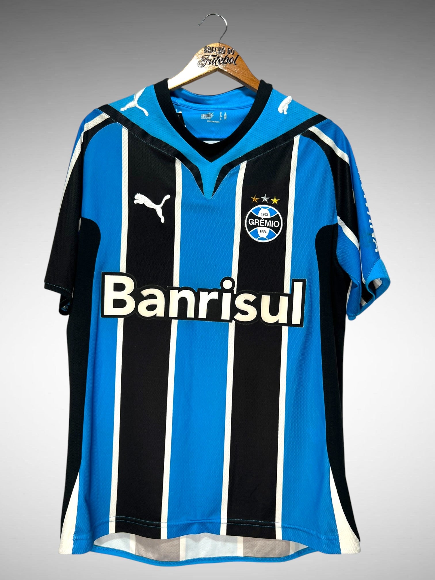 Grêmio 2009 Primeira Camisa Tam M N 10.