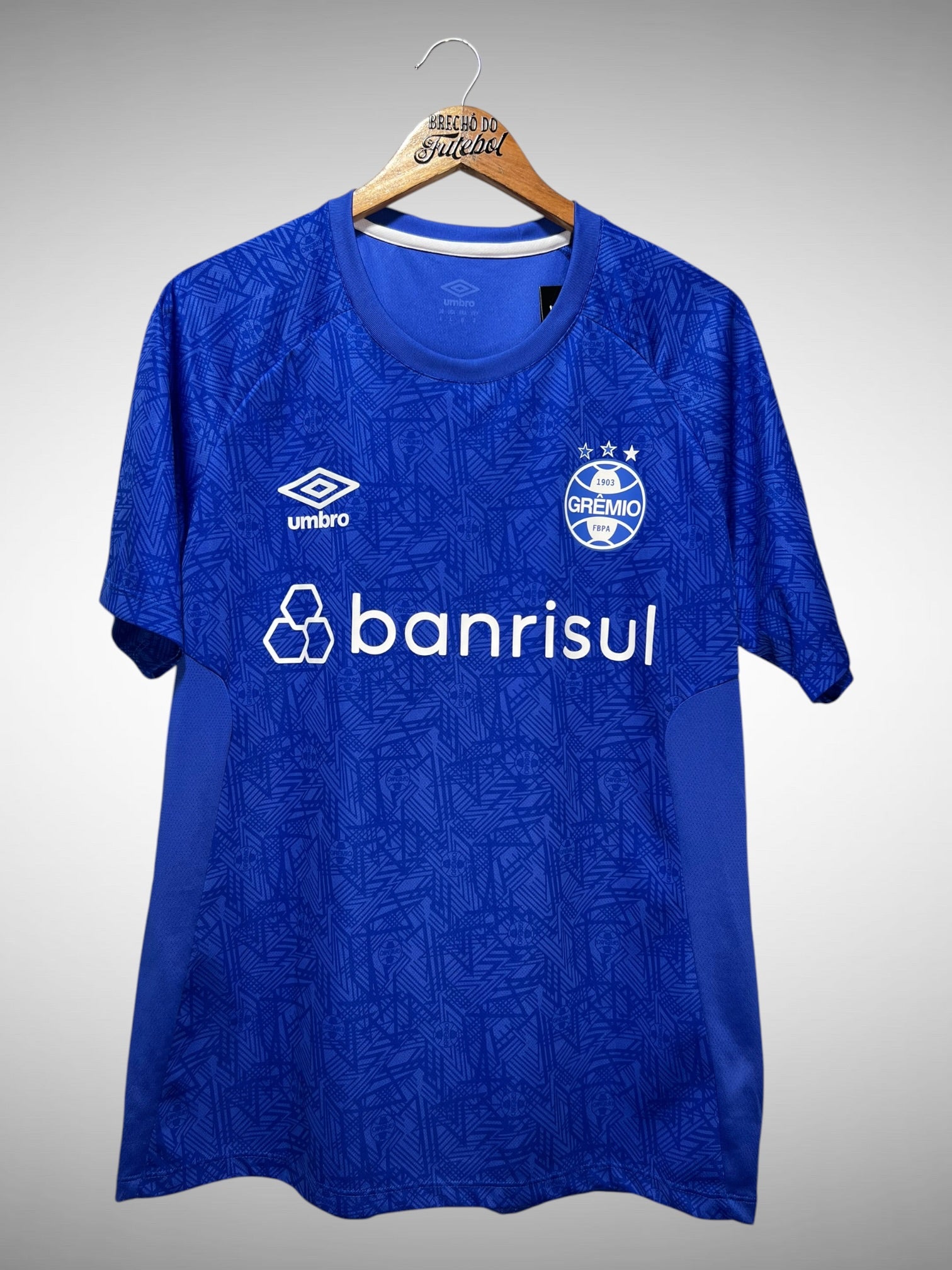 Grêmio 2024 Camisa de Treino Tam G.