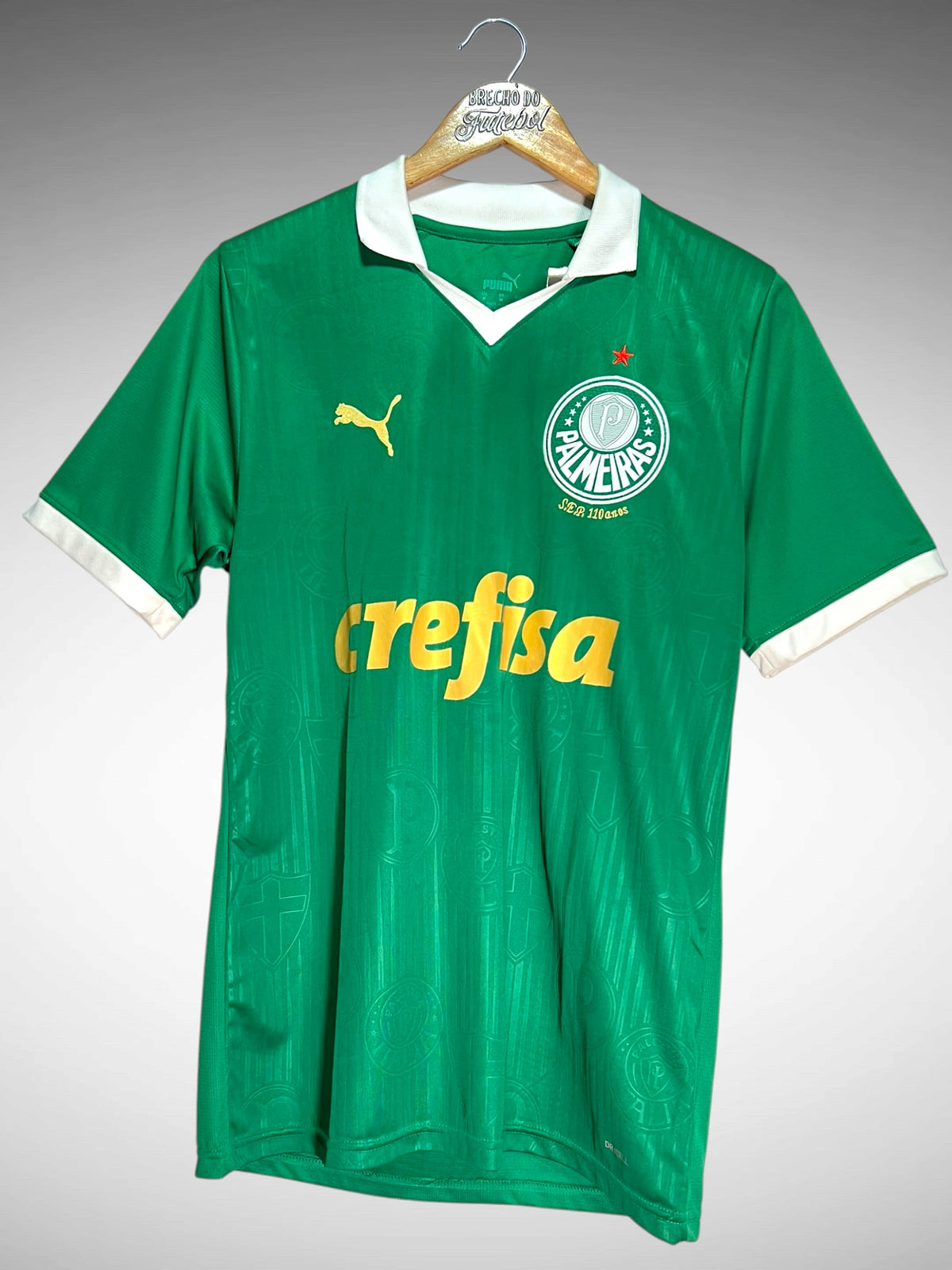 Palmeiras 2024 Primeira Camisa Tam M.