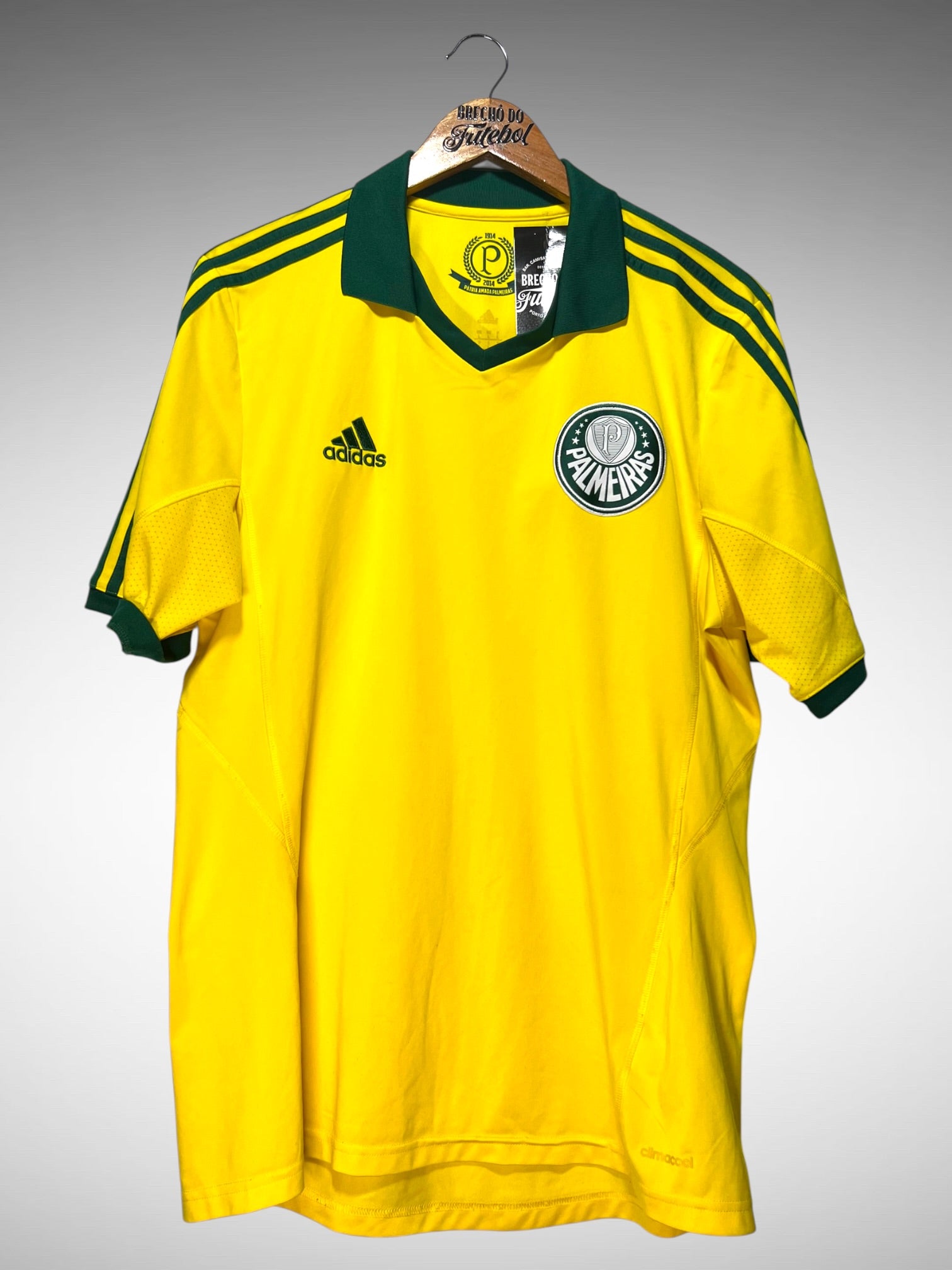 Palmeiras 2014 Quinta Camisa Tam G.