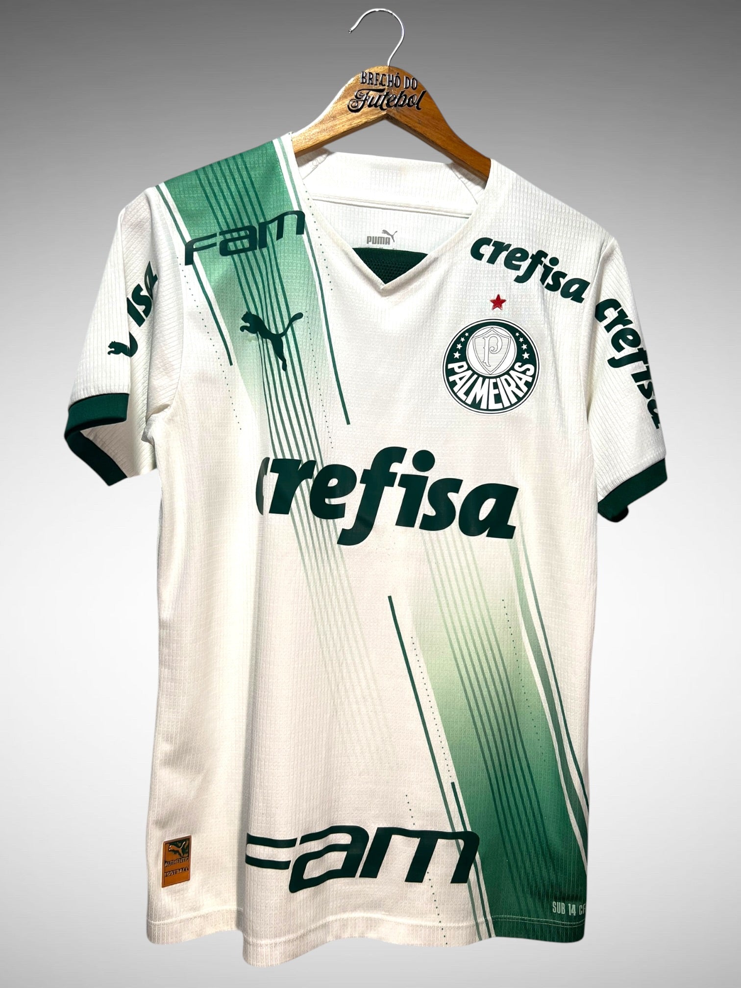 Palmeiras 2023 (Base) Segunda Camisa Tam M N 17.