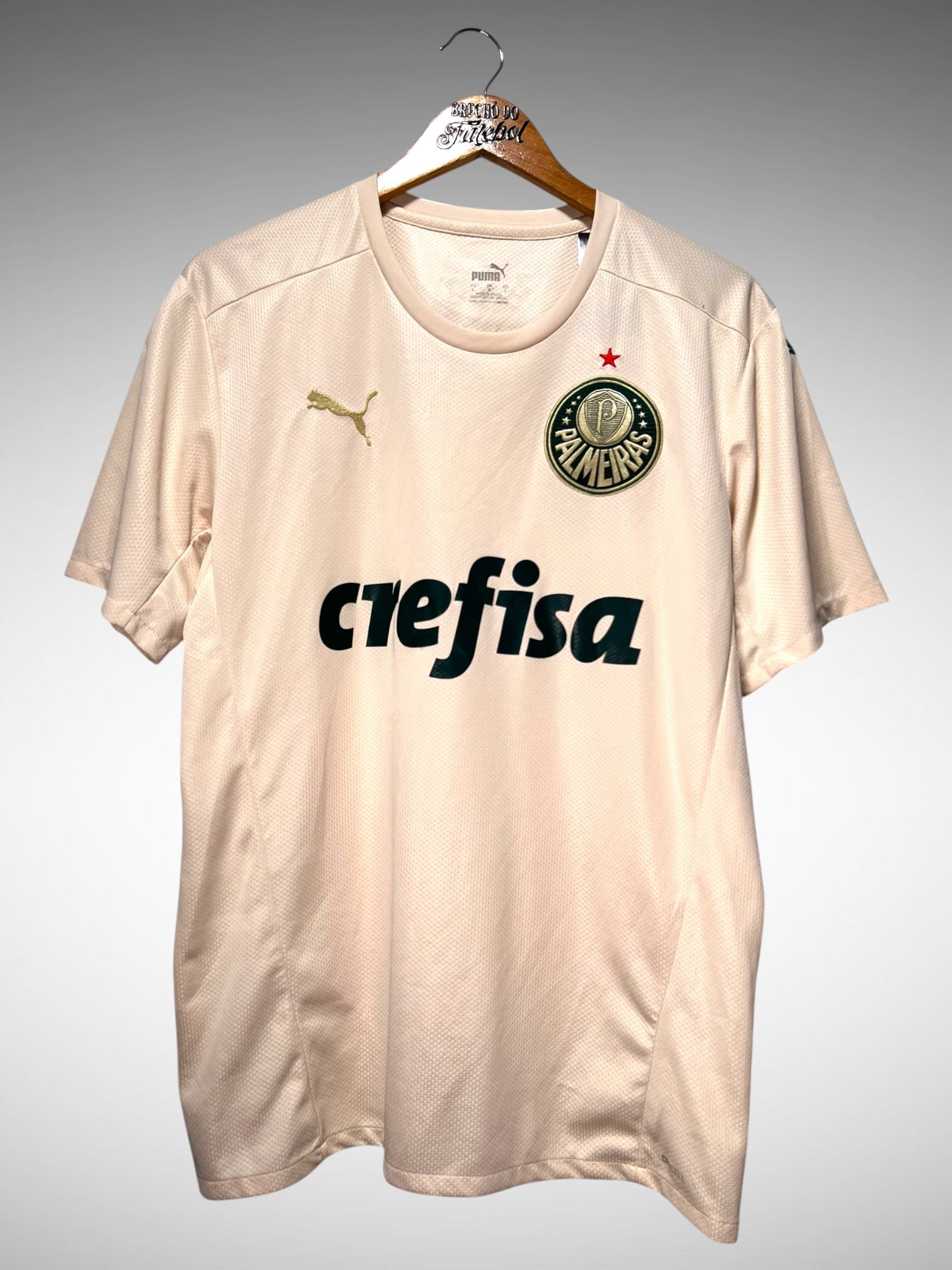 Palmeiras 2021 Terceira Camisa Tam G.