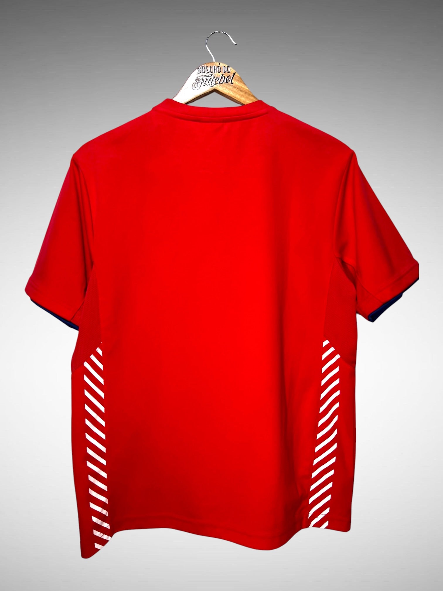Coreia do Sul 2010 Camisa Korea Legend Tam P.
