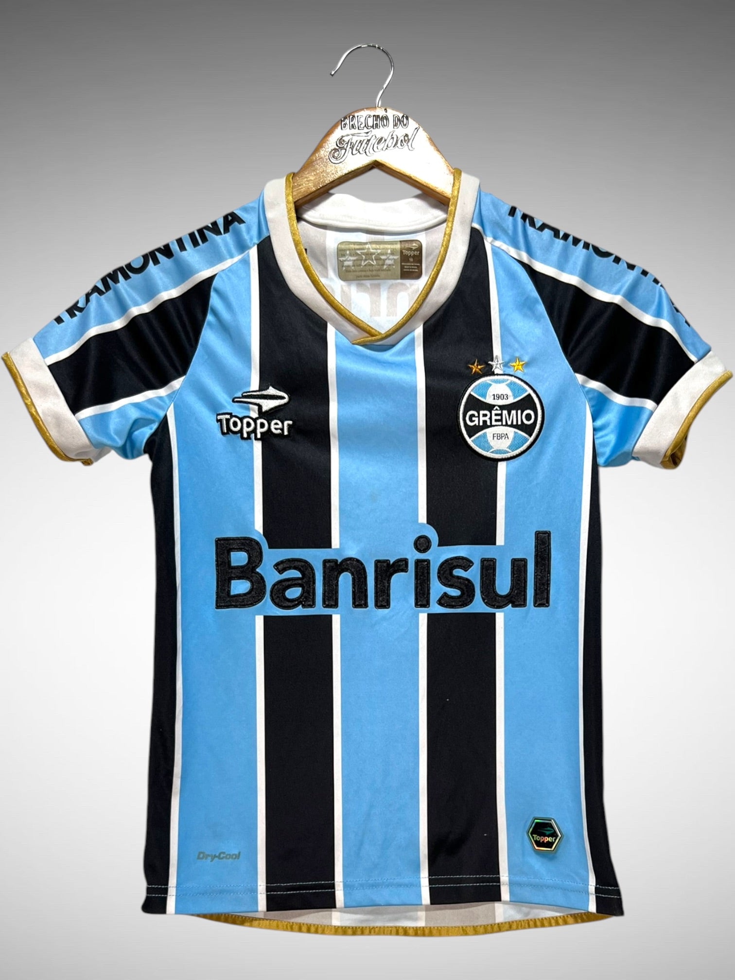 Grêmio 2013 Primeira Camisa Tam 10 anos Infantil N 10.