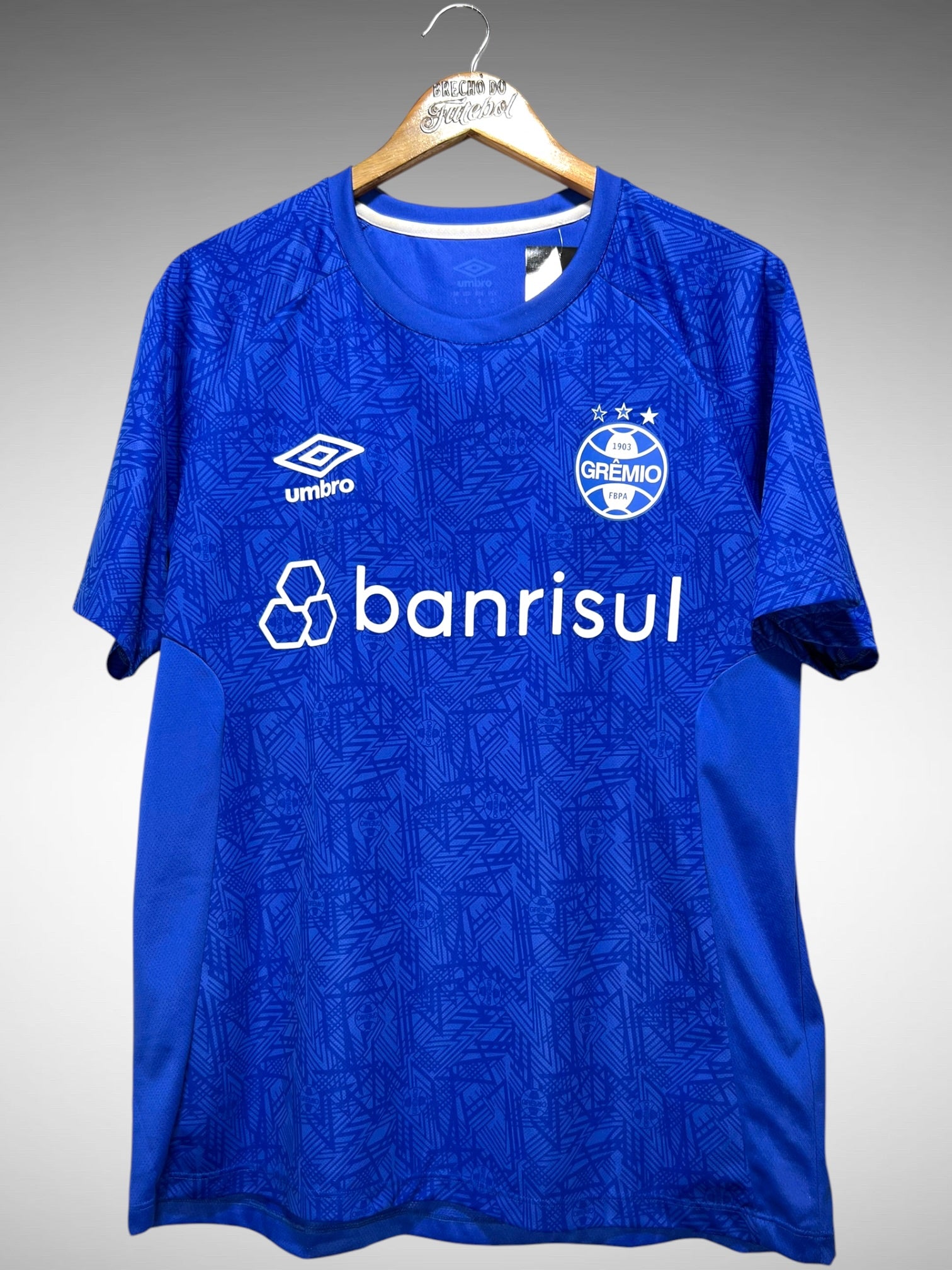 Grêmio 2024 Camisa de Treino Tam G.