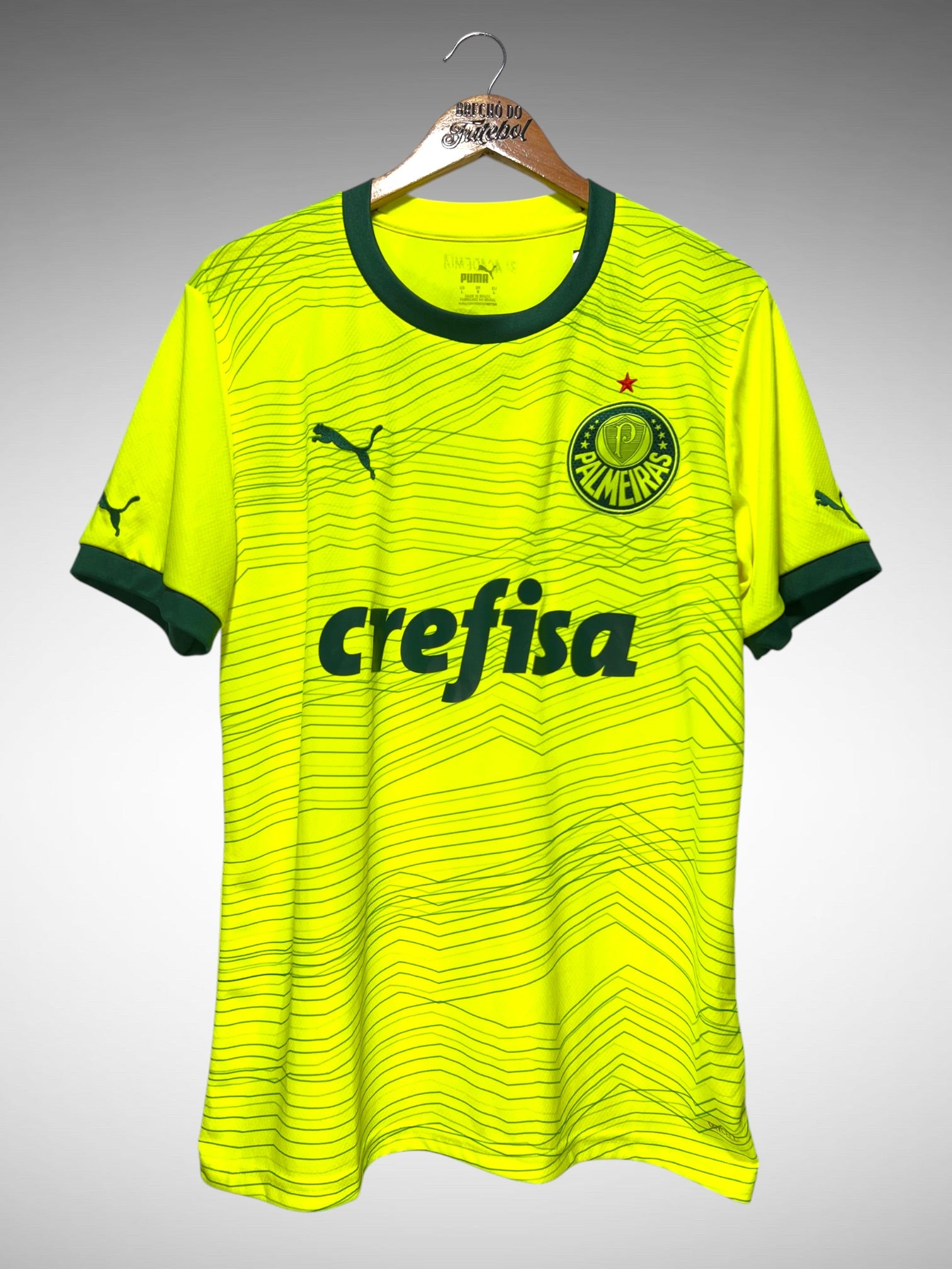 Palmeiras 2023 Terceira Camisa Tam G.