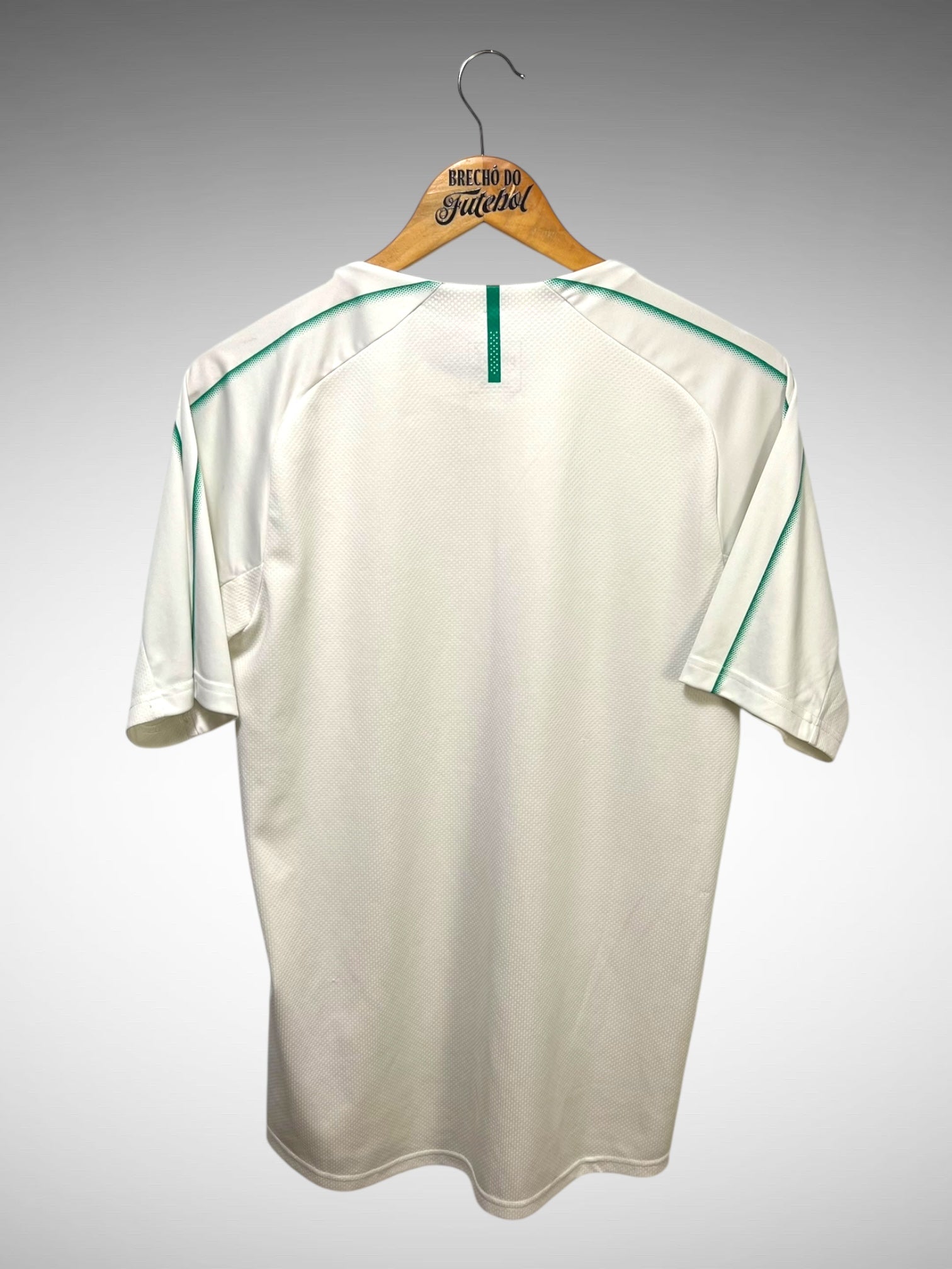Palmeiras 2019 Camisa Treino Tam M.