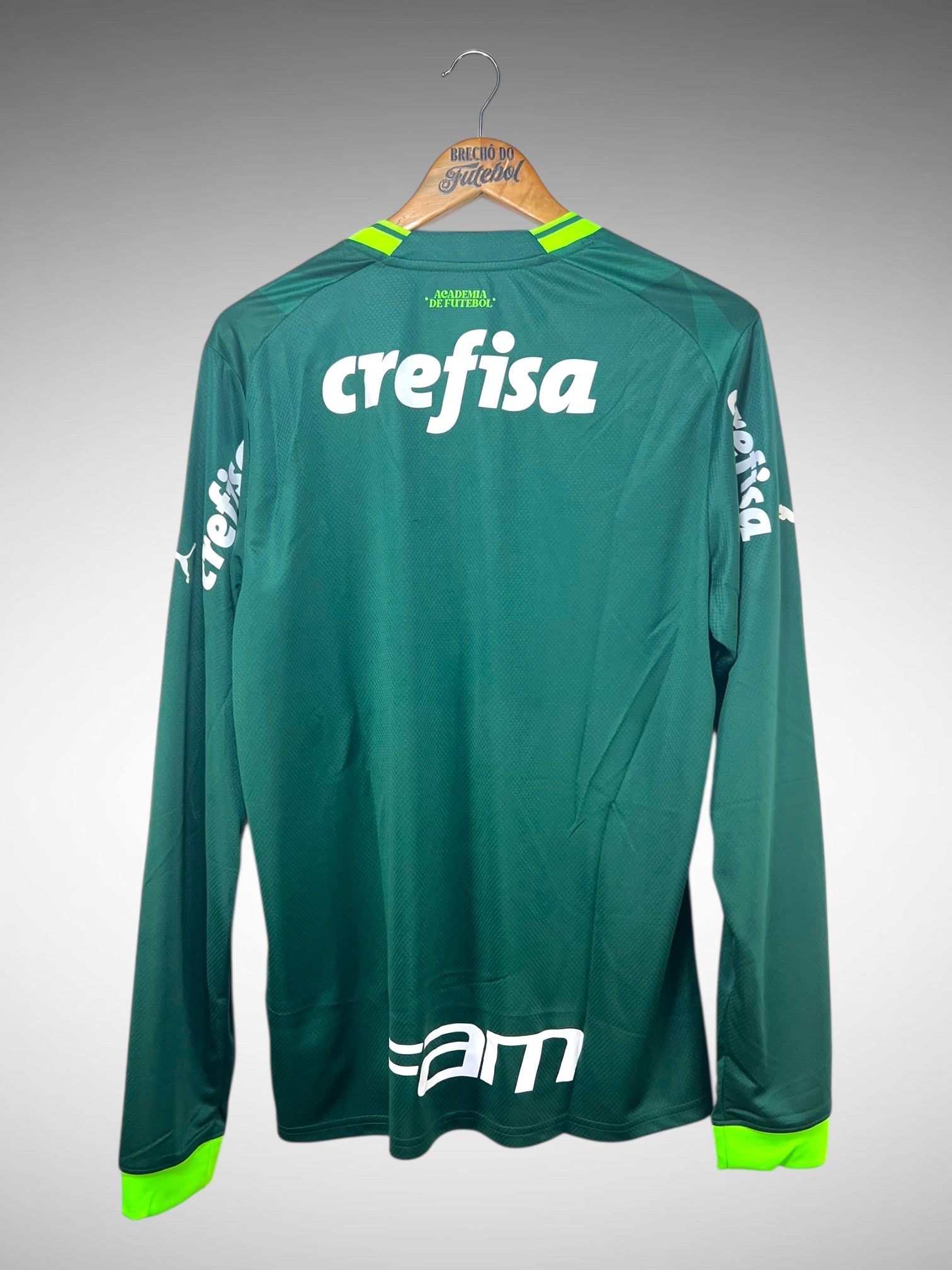Palmeiras 2023 Primeira Camisa Tam G Mangas Longas.