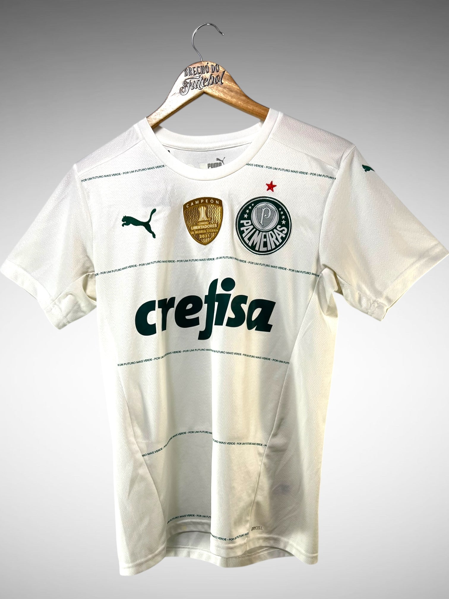Palmeiras 2022 Segunda Camisa Tam P.