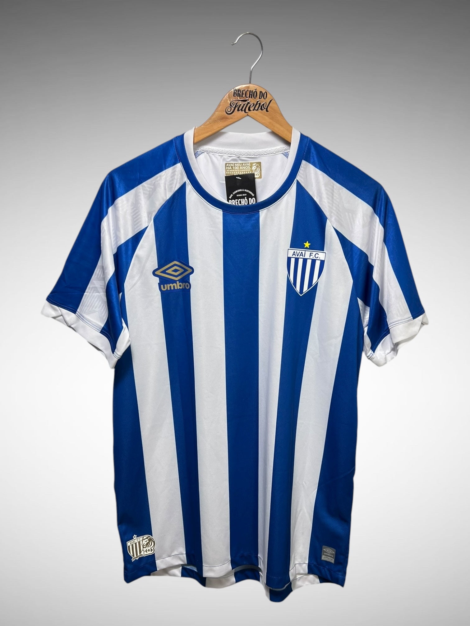 Avaí 2023 Primeira Camisa 100 anos Tam G N 15