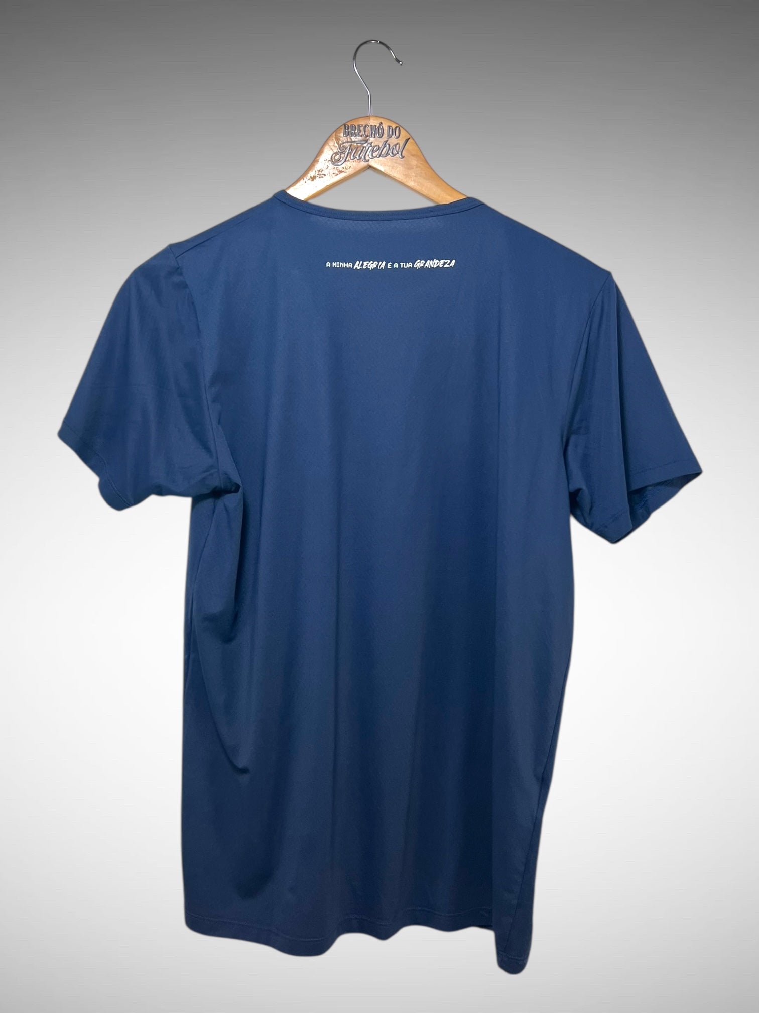 Caxias Do Sul Camisa De Treino Tam P.